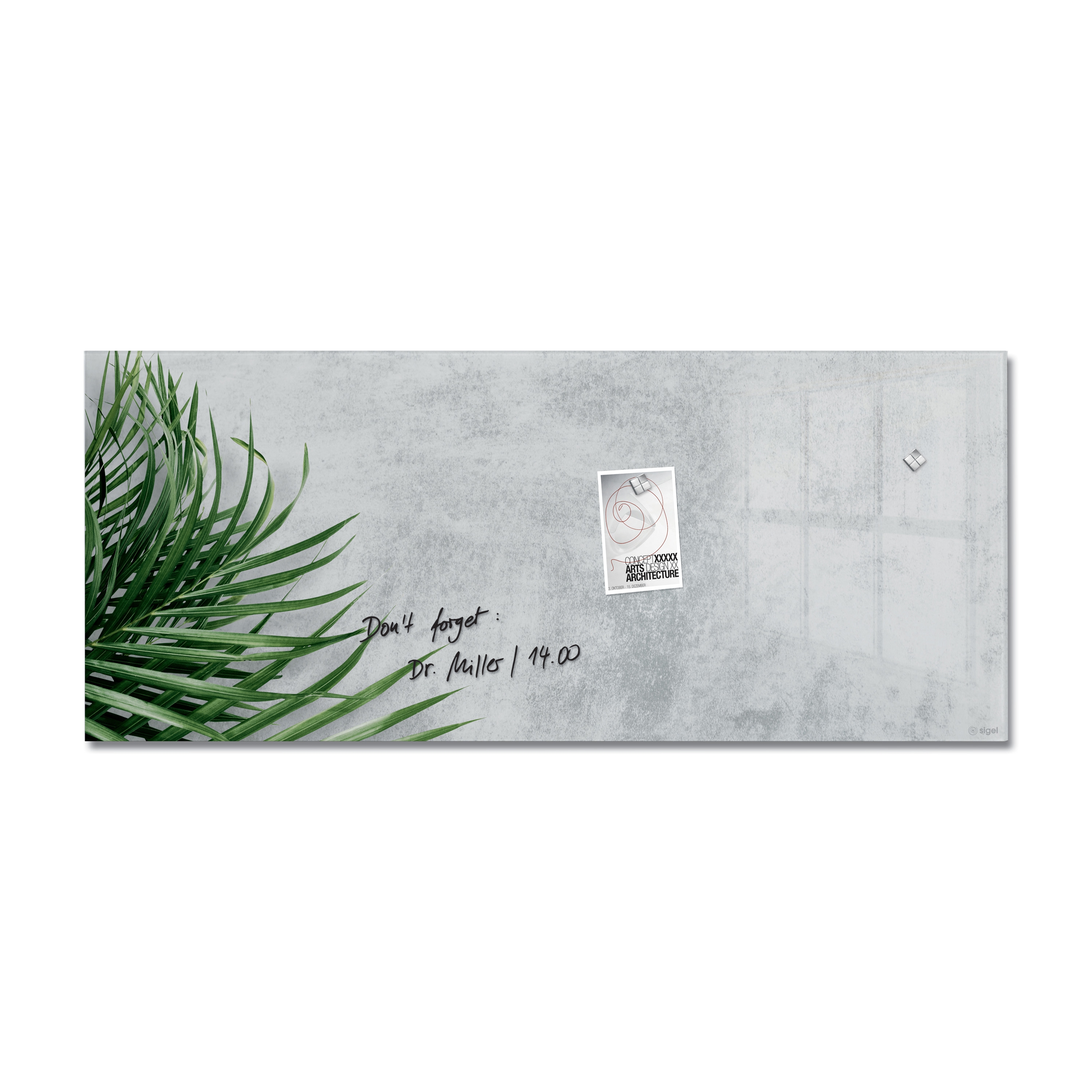 Magnetic Glass Board Artverum, design Botanic, 130 x 55 cm