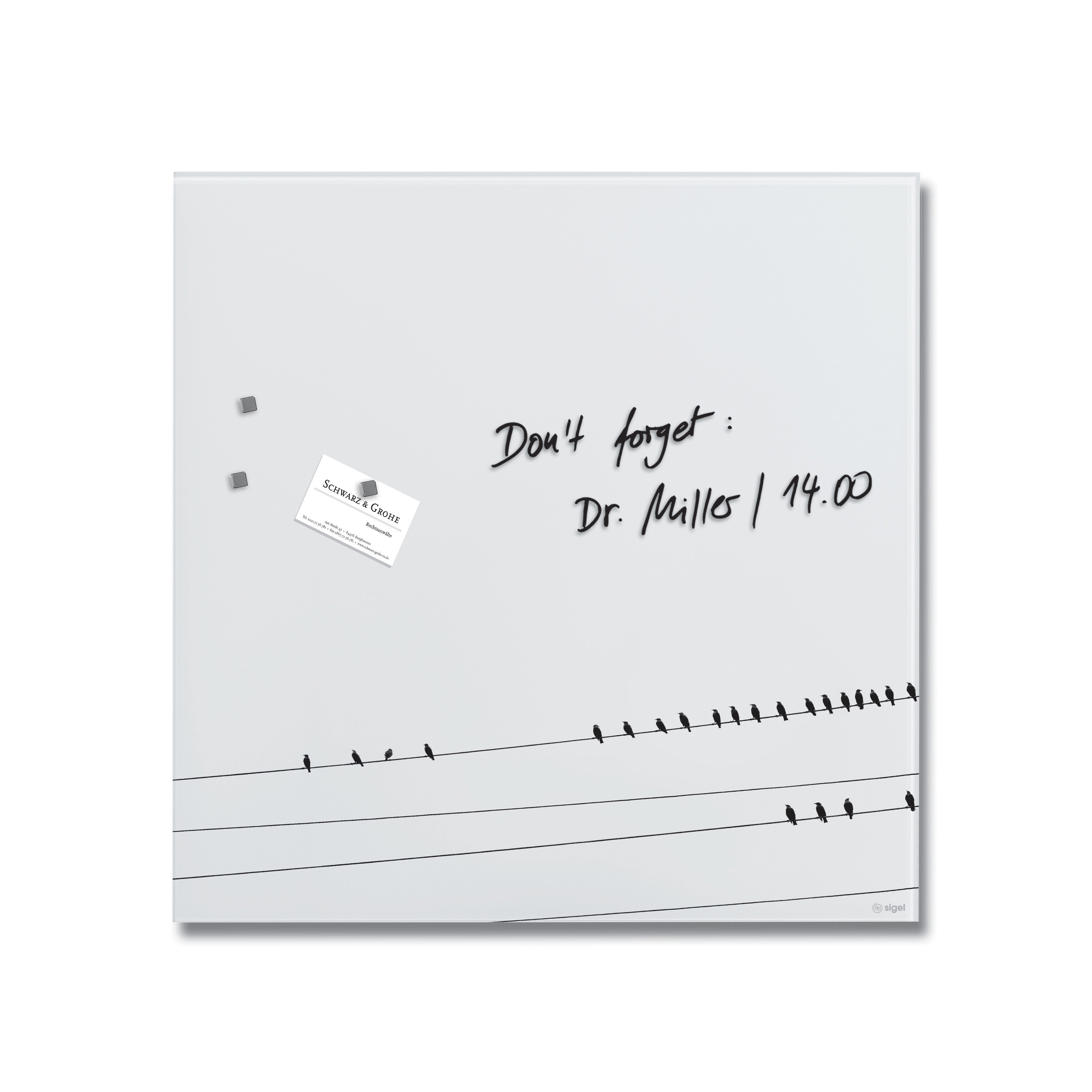 Vertoon produk Magnetic glass board Artverum, design Little Birds, matt, 48 x 48 cm van vervaardiger Sigel