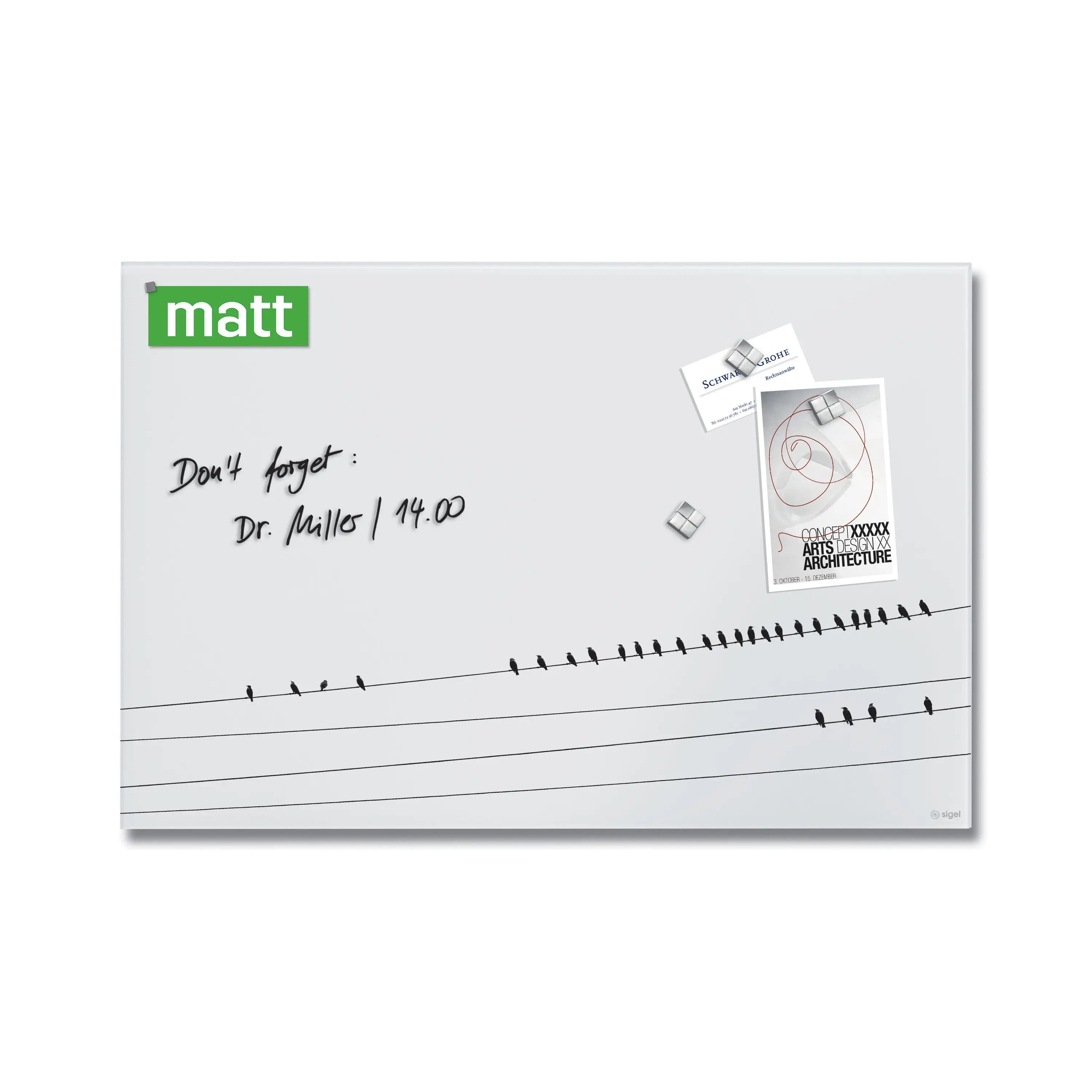 Sigel - Magnetic glass board Artverum, design Little Birds, matt, 60 x 40 cm