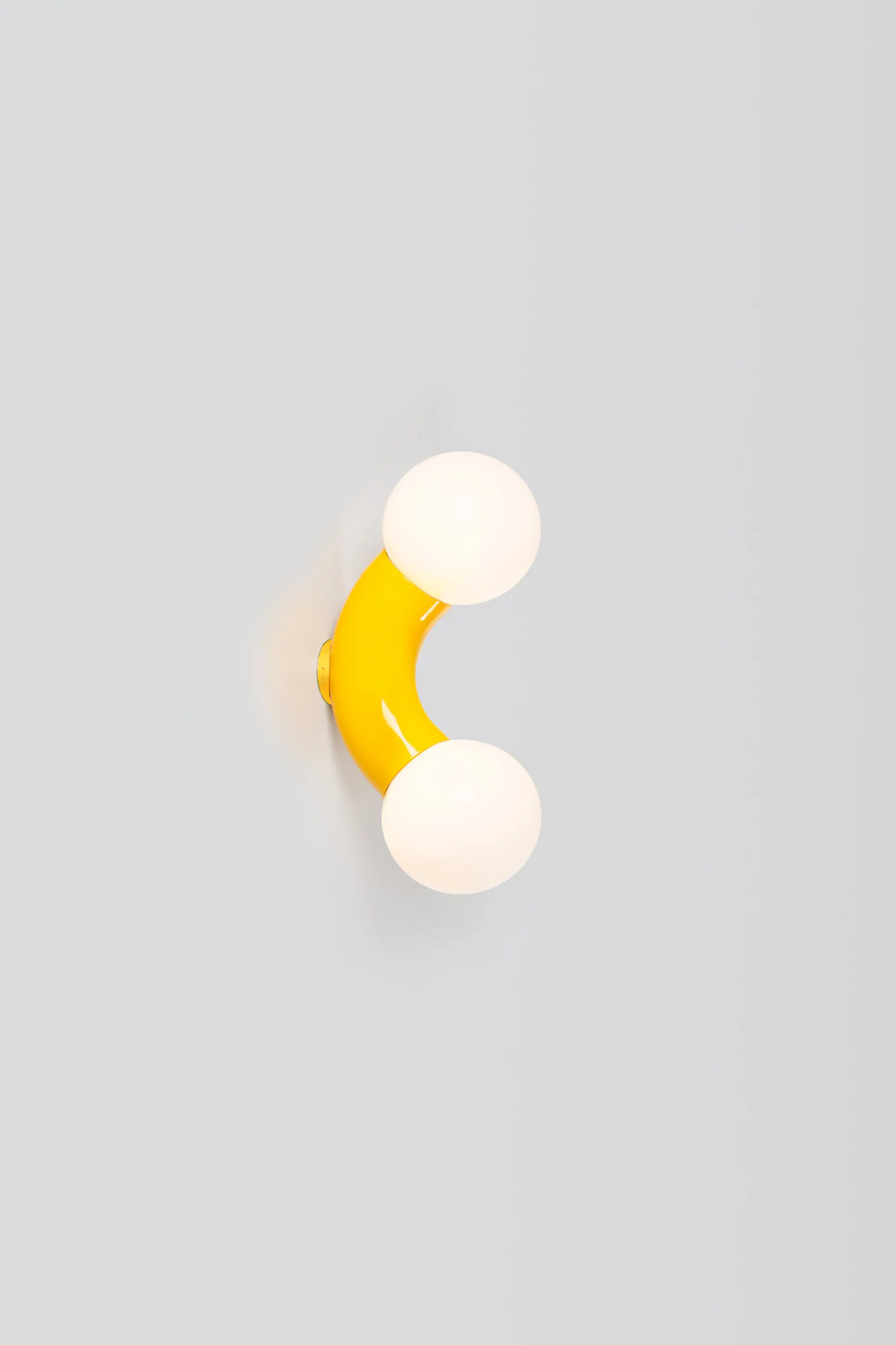 A-N-D - Vine Ceiling/Wall