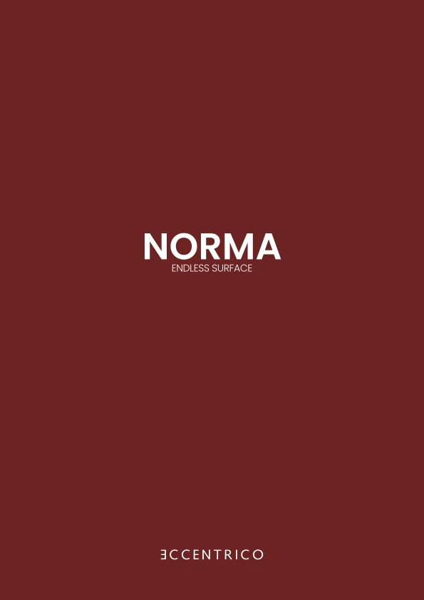 Preview image for the file Norma 2024