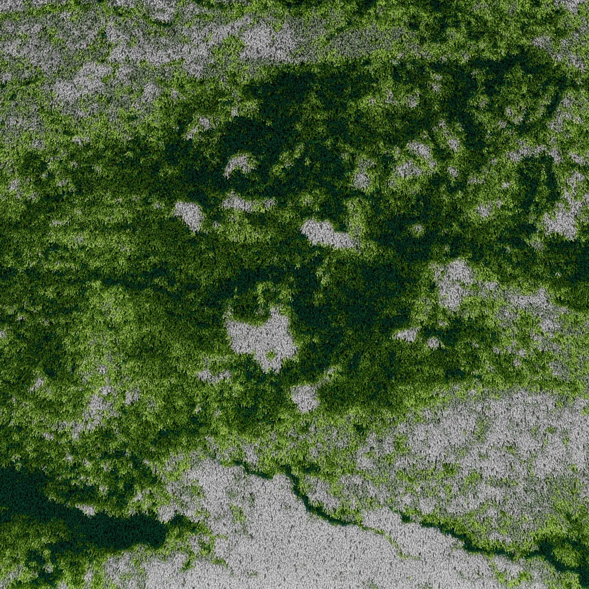 70's | Carpette Green Forest