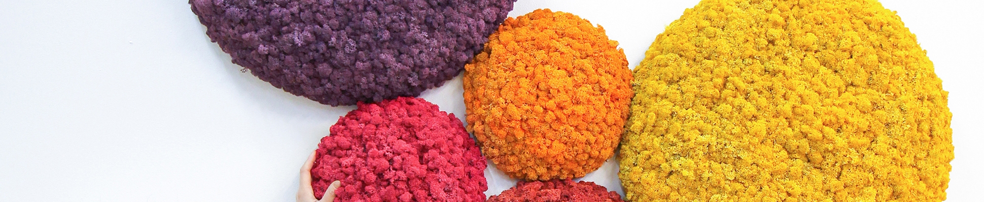 Scopri il mondo del produttore Nordgröna