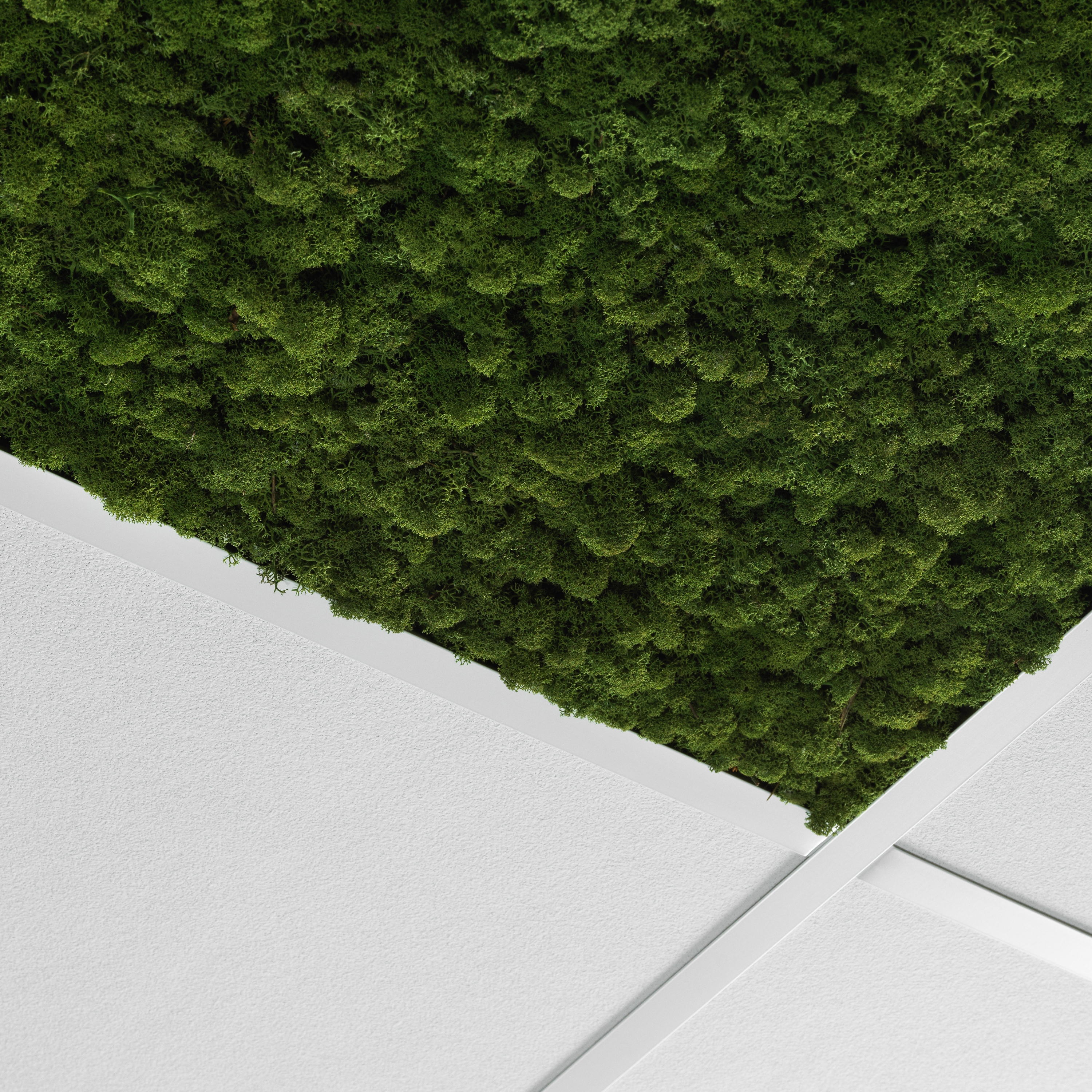 Mostra il prodotto Ceiling (EU Version) del produttore Nordgröna