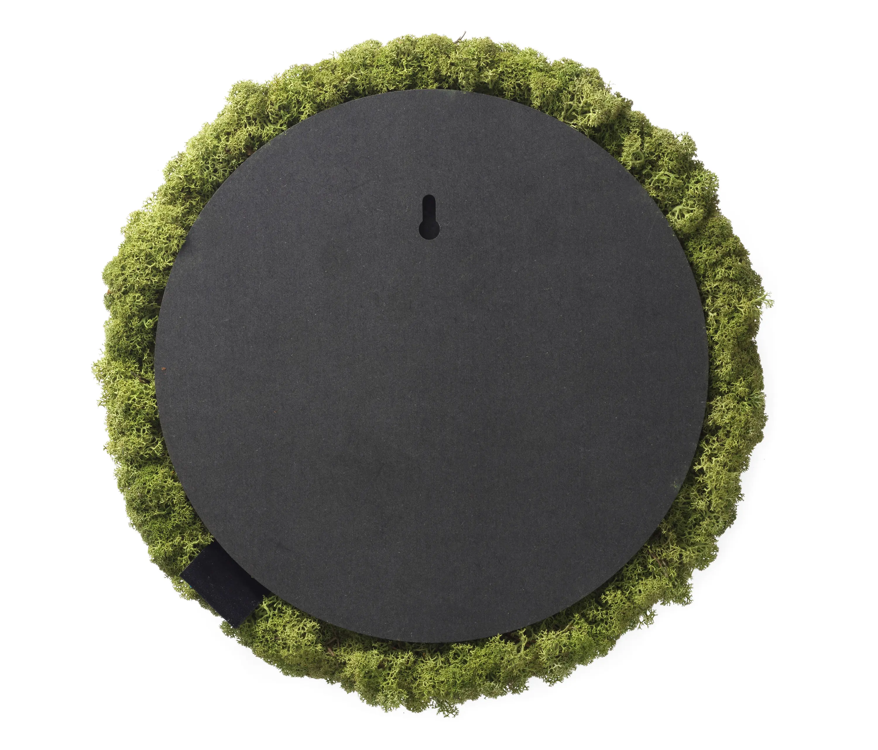 Nordgröna - Convex Circle