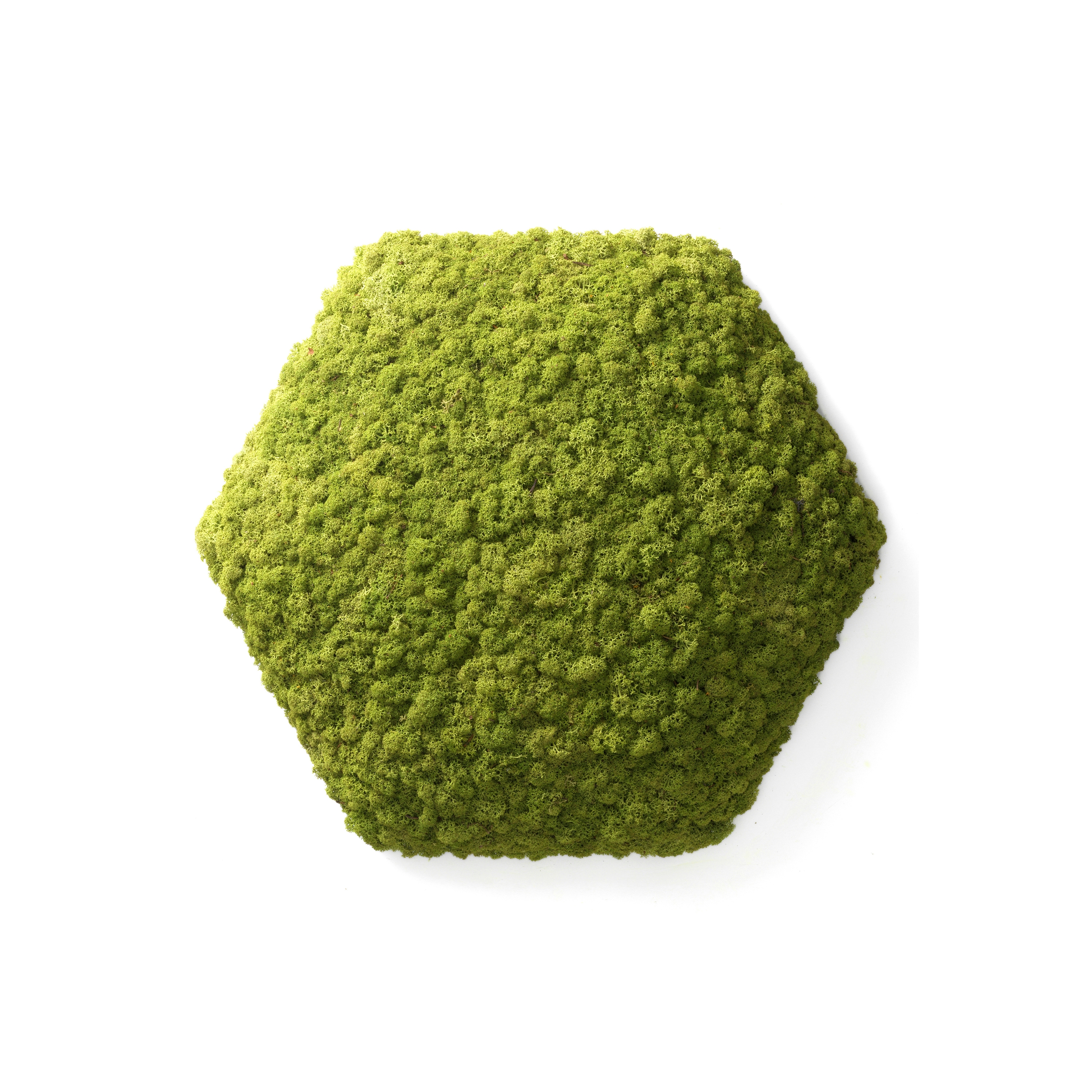 Display product Convex Hexagon from manufacturer Nordgröna