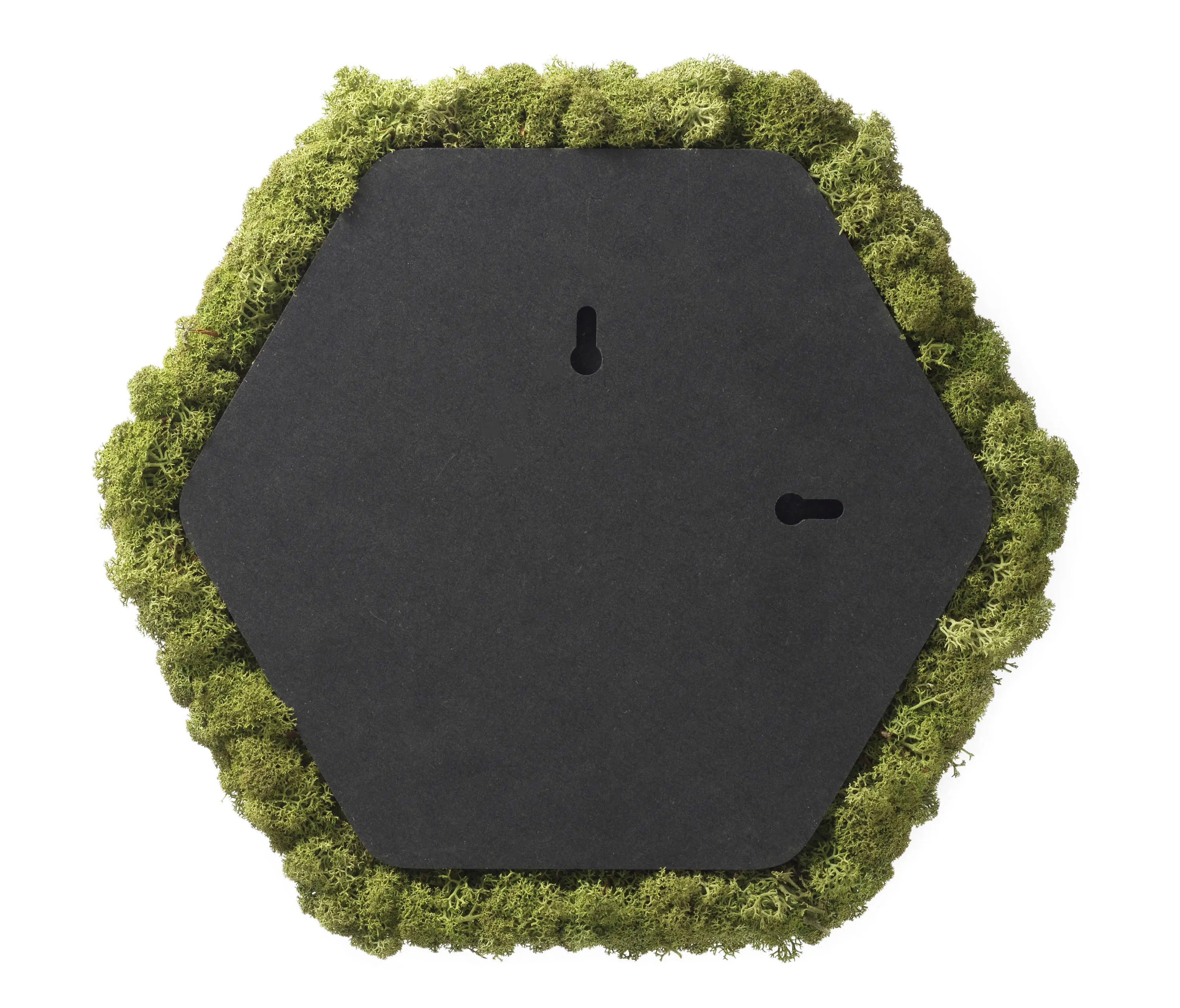 Nordgröna - Convex Hexagon