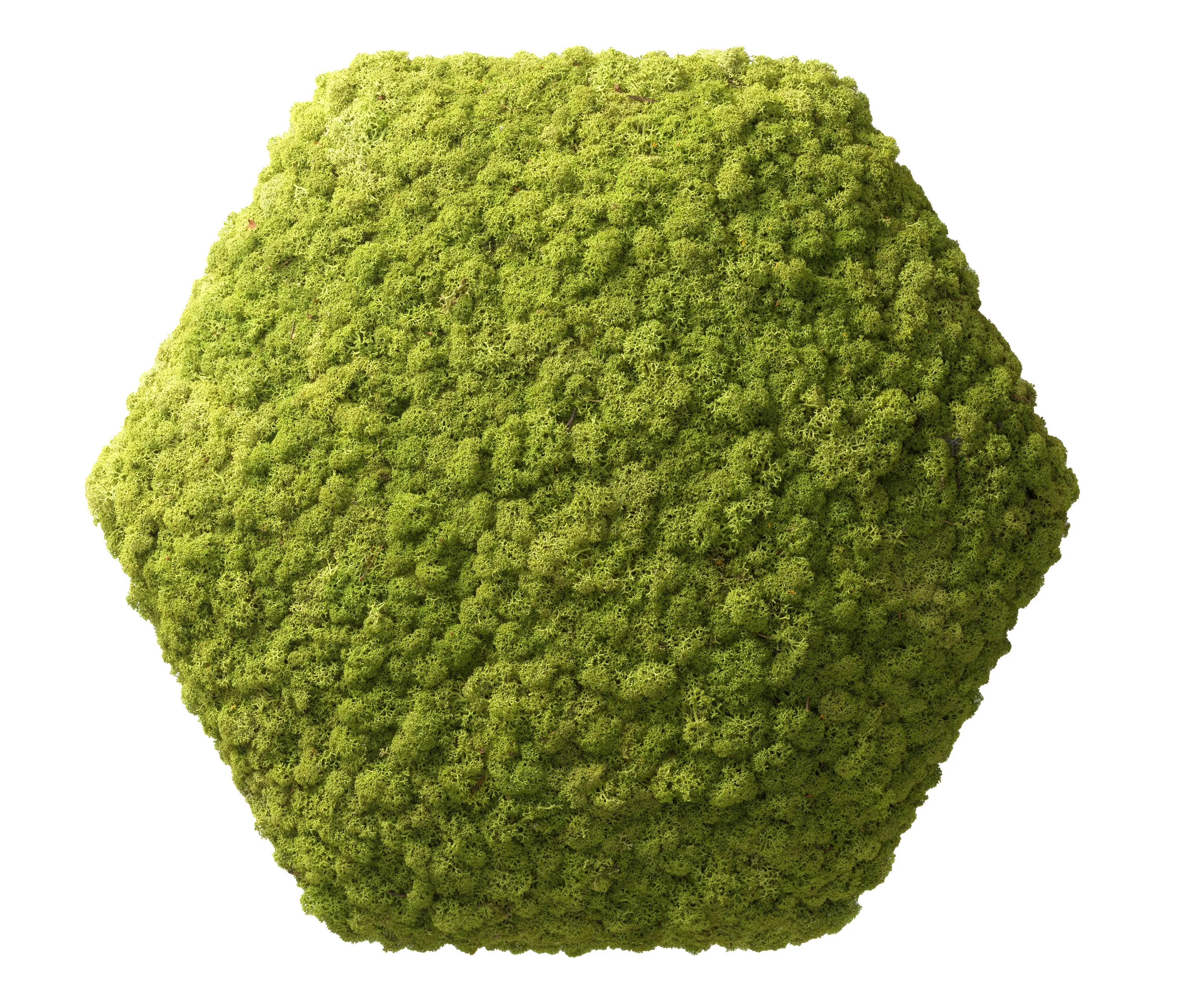 Nordgröna - Convex Hexagon