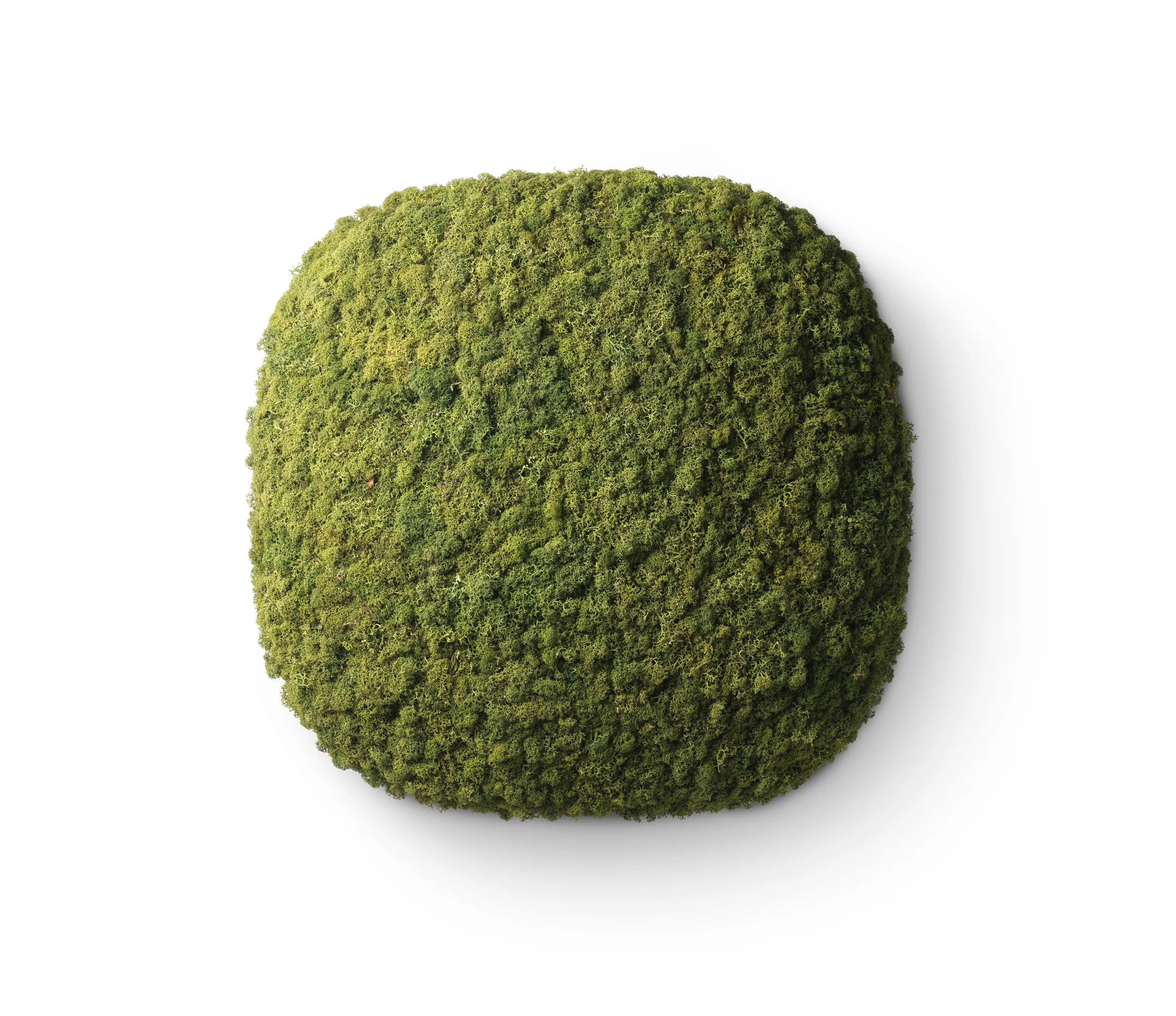 Nordgröna - Convex Squircle