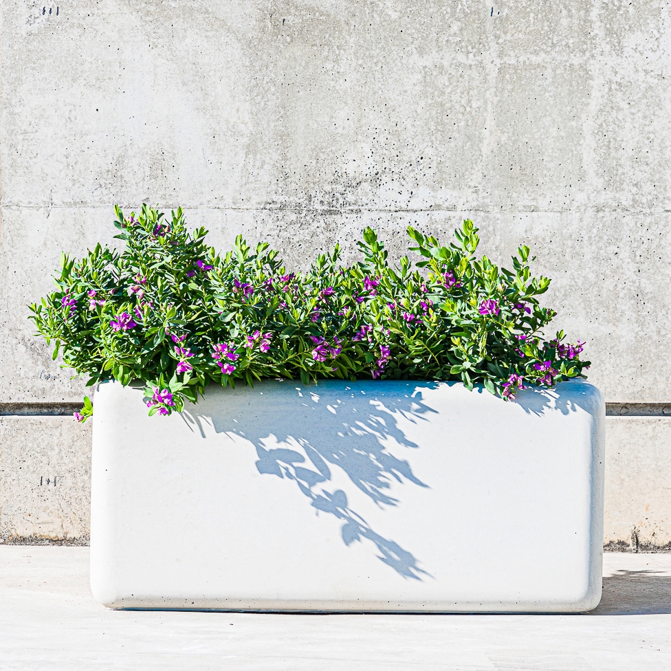 Mostra il prodotto Softshapes Planter del produttore Sit