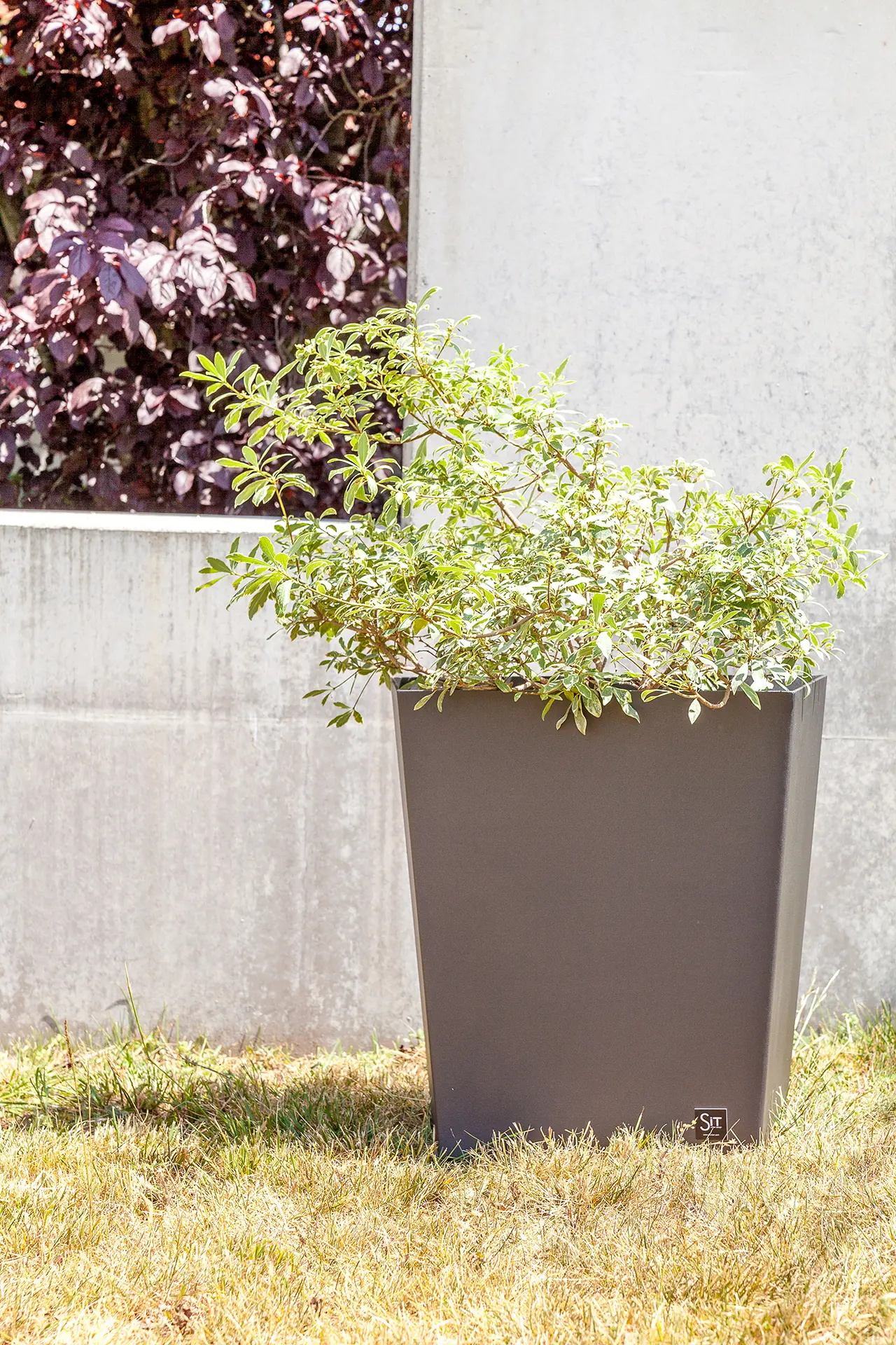 Sit - Skew Planter 60