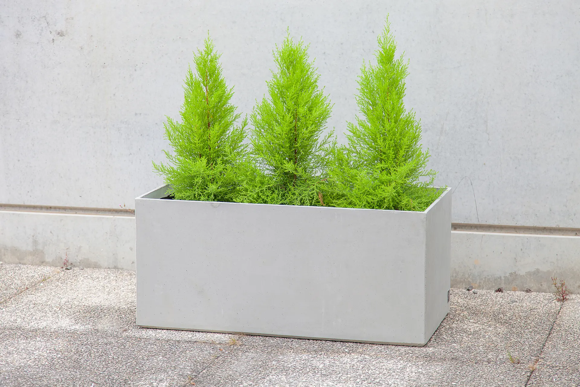 Sit - Basic Box Planter 100