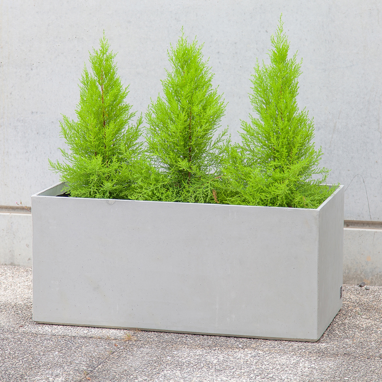 Mostra il prodotto Basic Box Planter 100 del produttore Sit