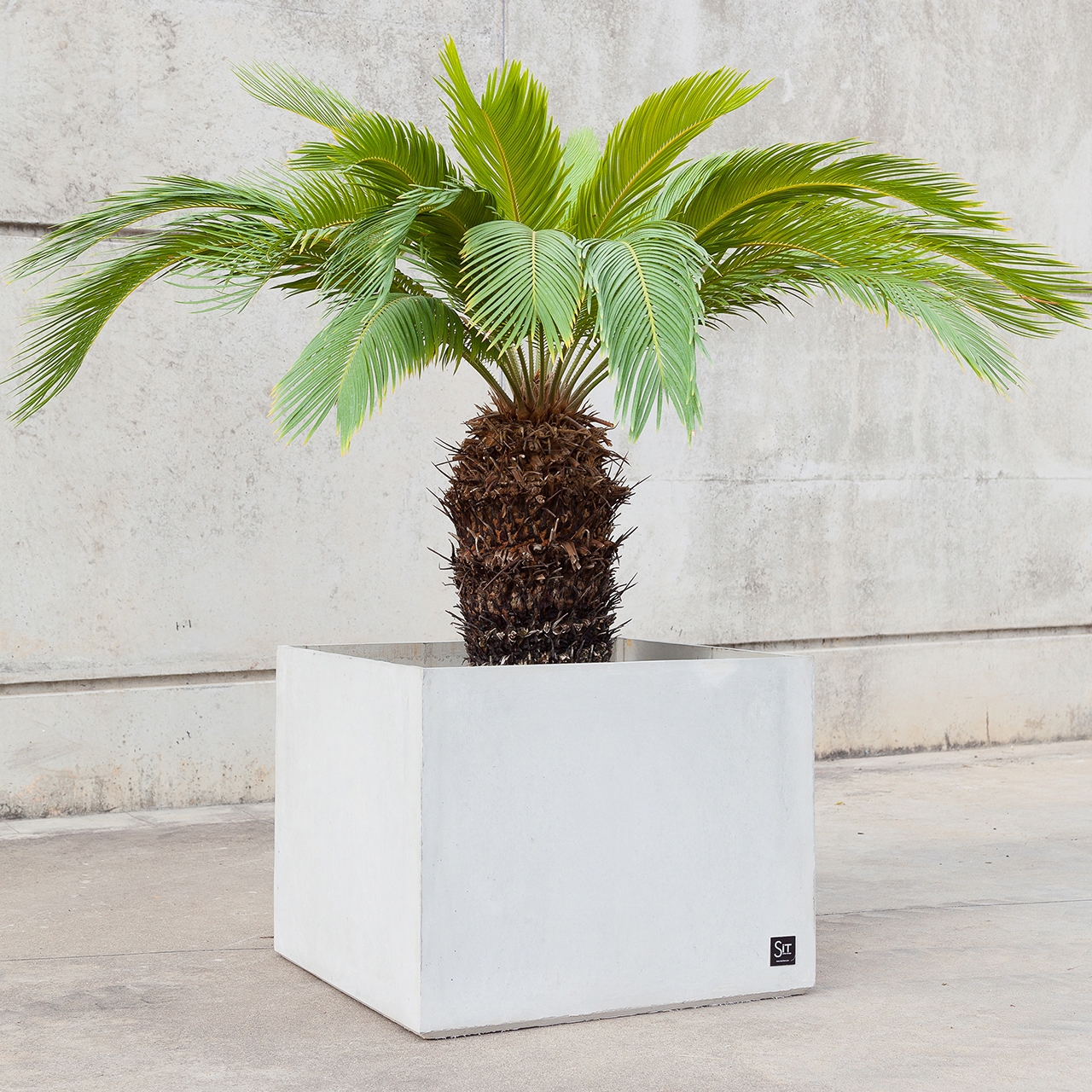 Mostra il prodotto Basic Cubik Planter 50 del produttore Sit