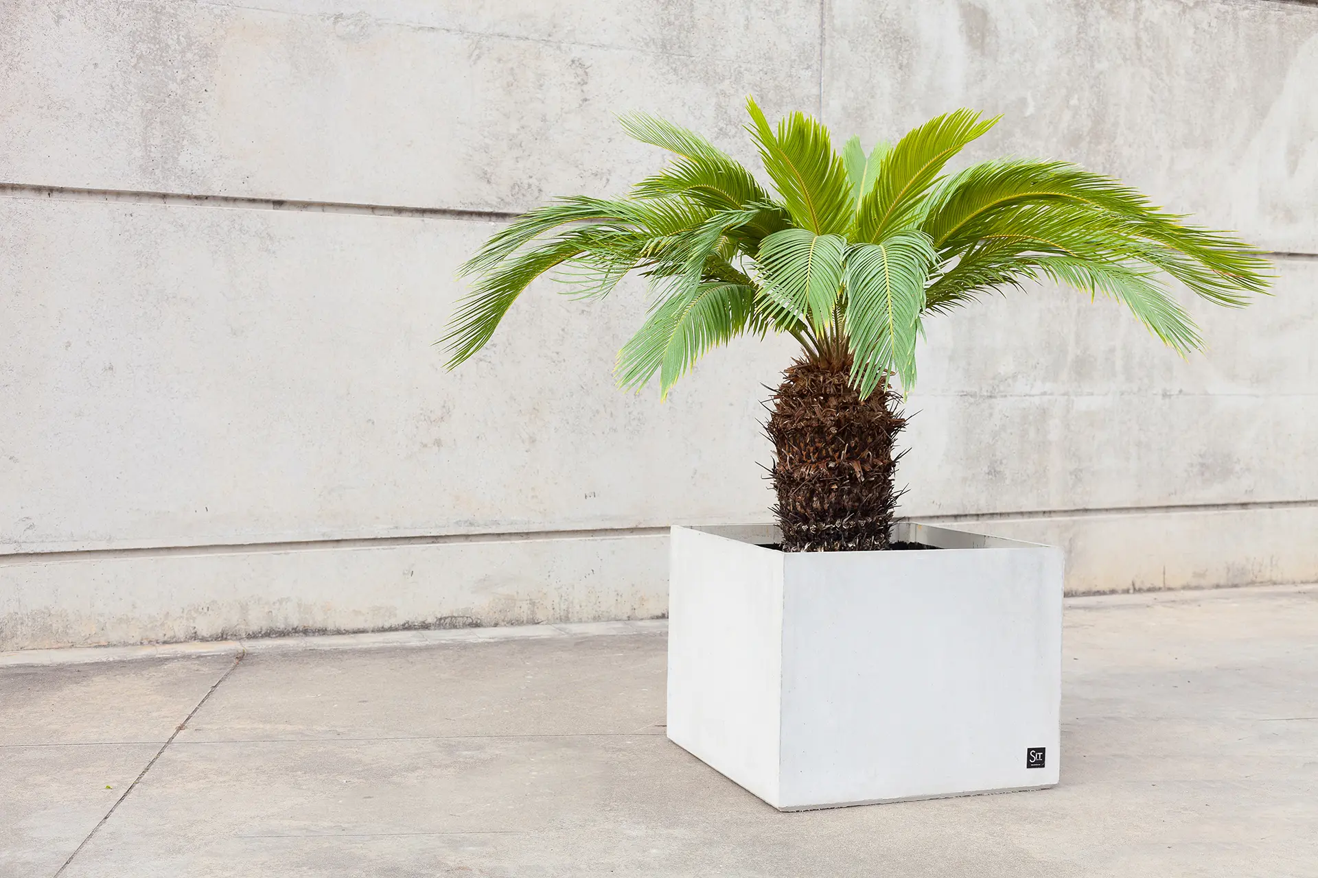 Sit - Basic Cubik Planter 50