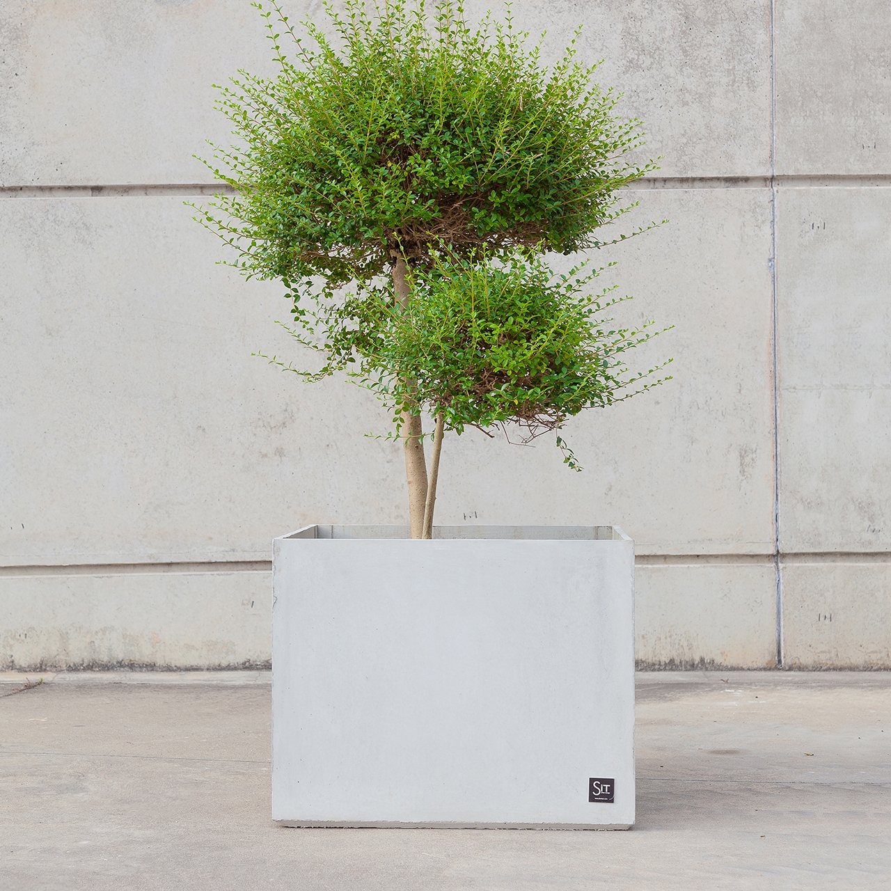 Mostra il prodotto Basic Cubik Planter 45 del produttore Sit