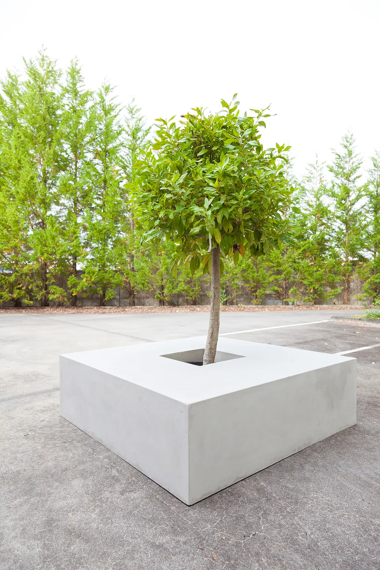 Sit - Basic Square 100