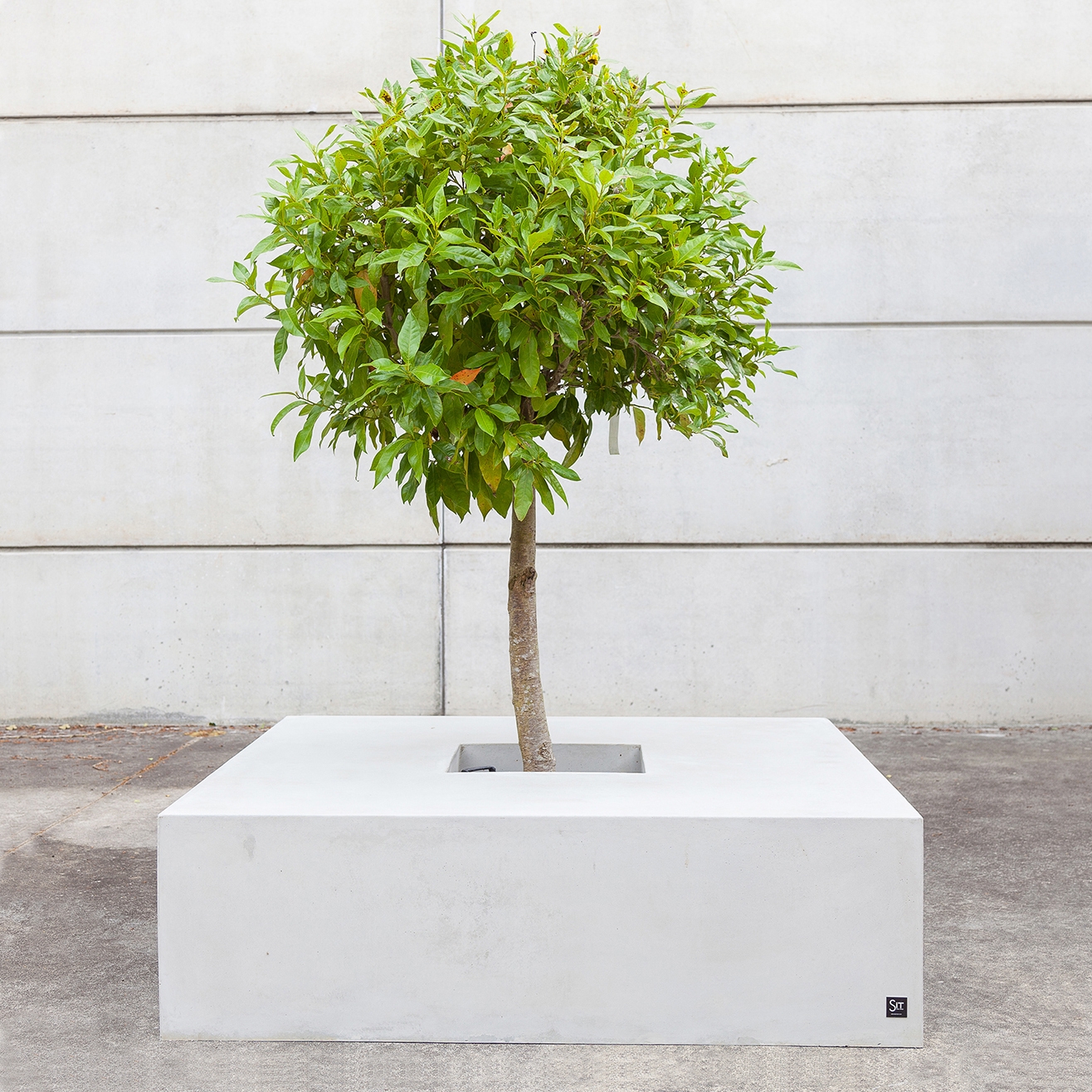 Mostra il prodotto Basic Square 100 del produttore Sit