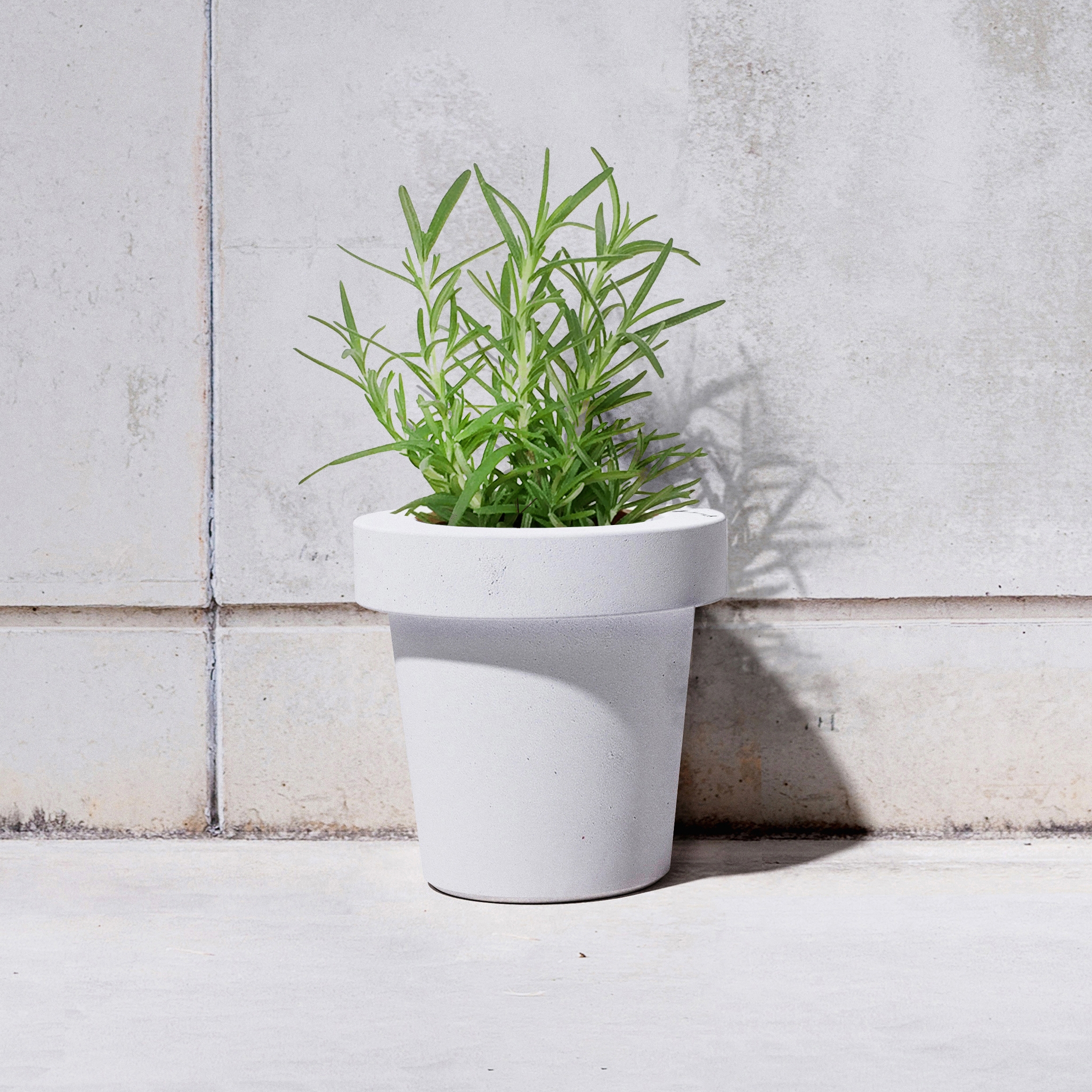 Mostra il prodotto Basic Vase S del produttore Sit