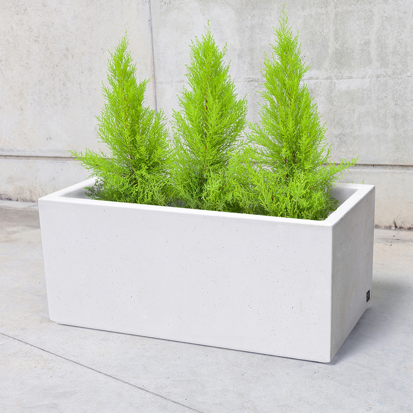 Mostra il prodotto Box to Box | Box B Planter del produttore Sit