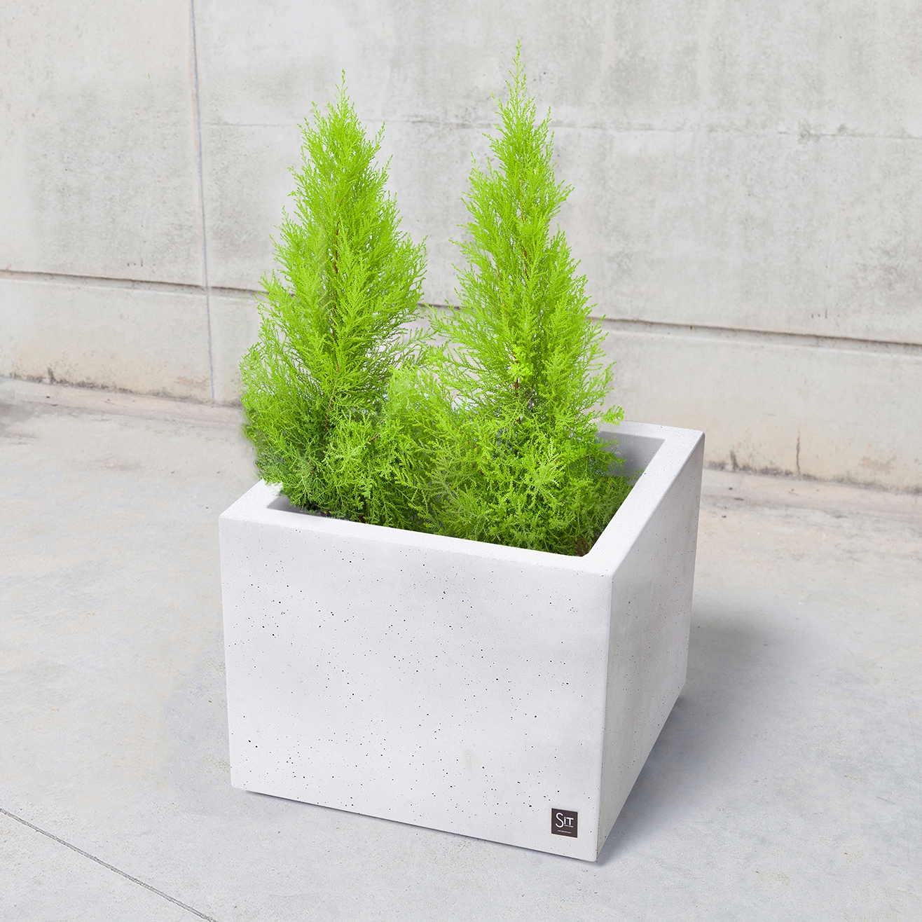 Mostra il prodotto Box to Box | Cubic B Planter del produttore Sit