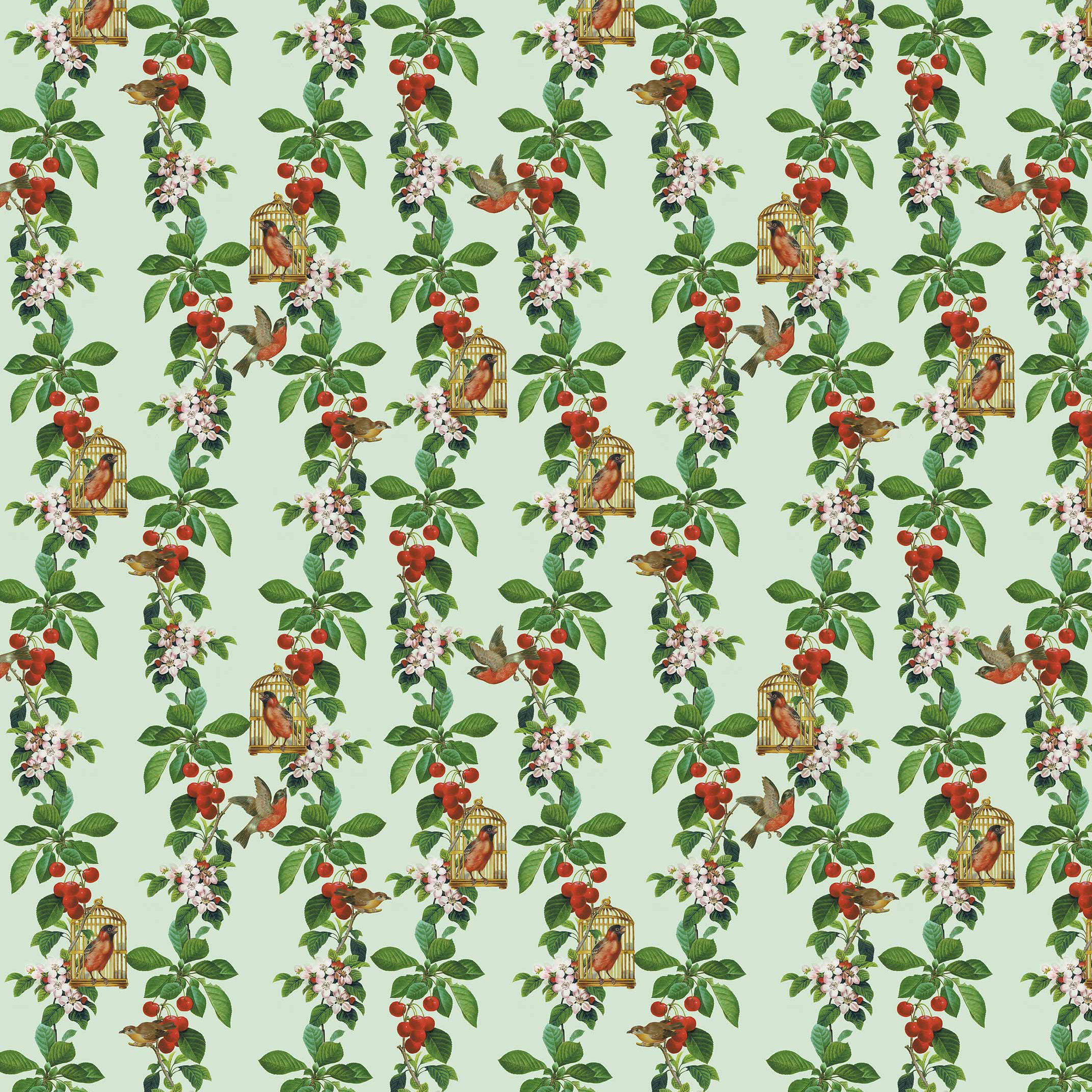 Apple Cherry