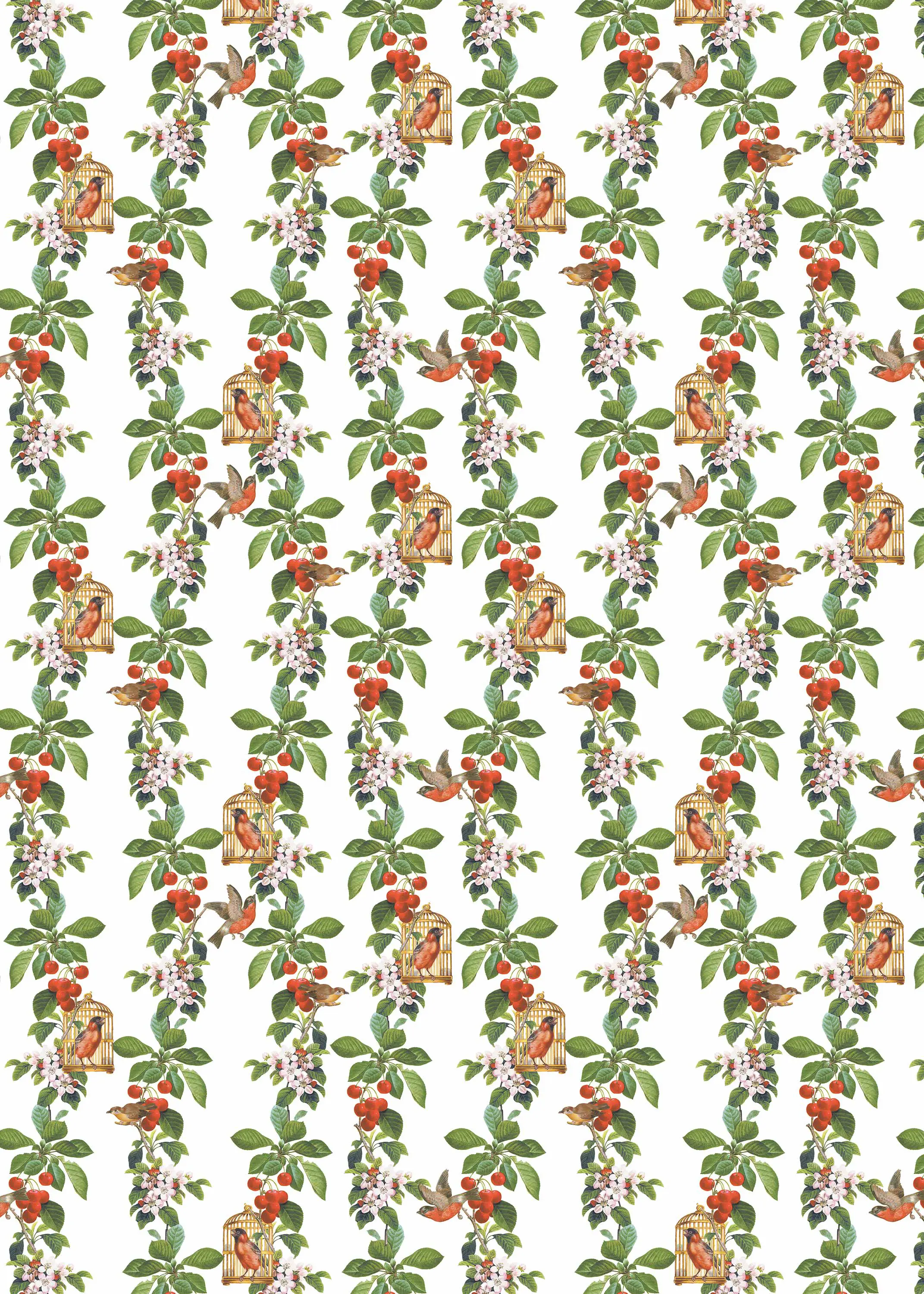 GMM - Apple Cherry