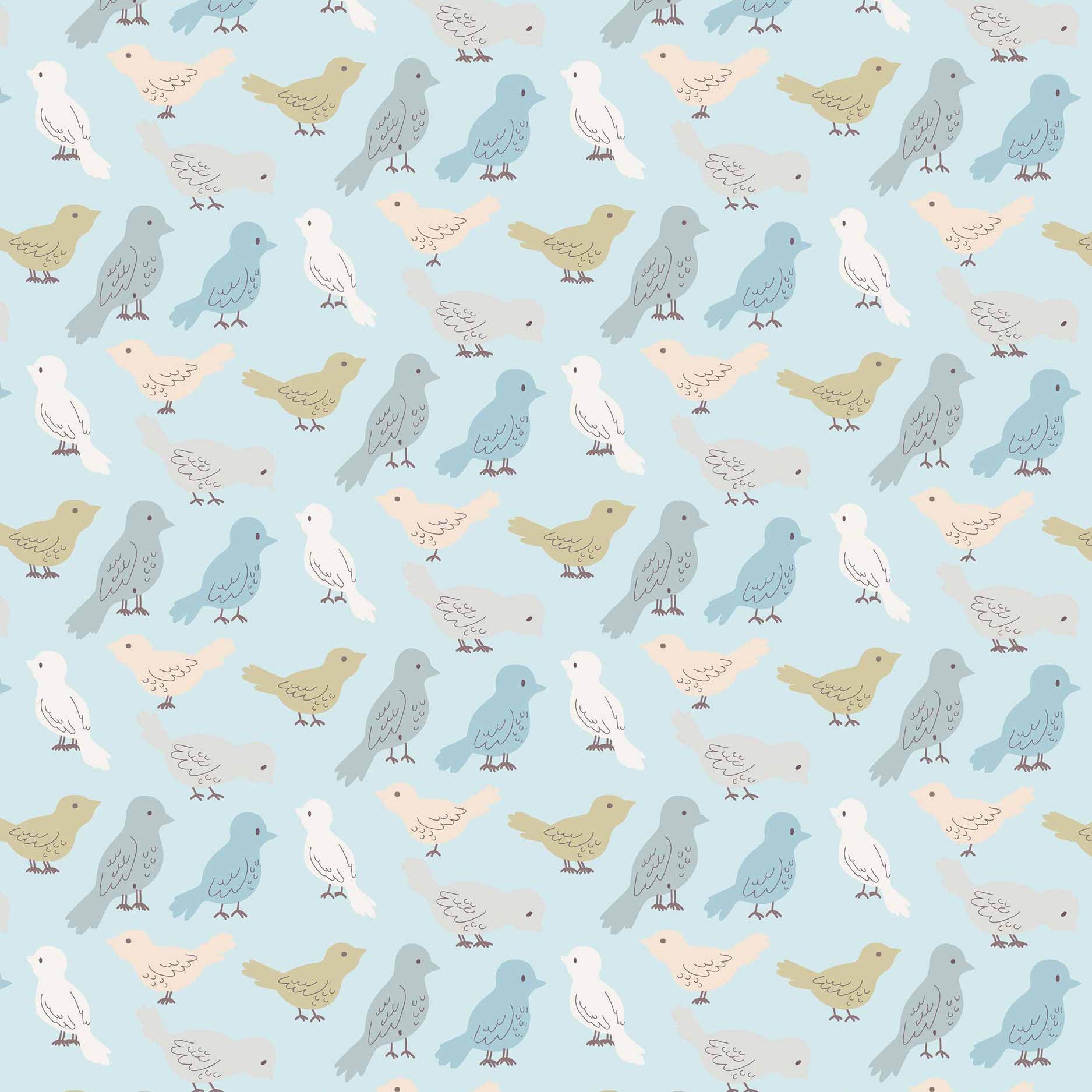 Birds Birds Birds