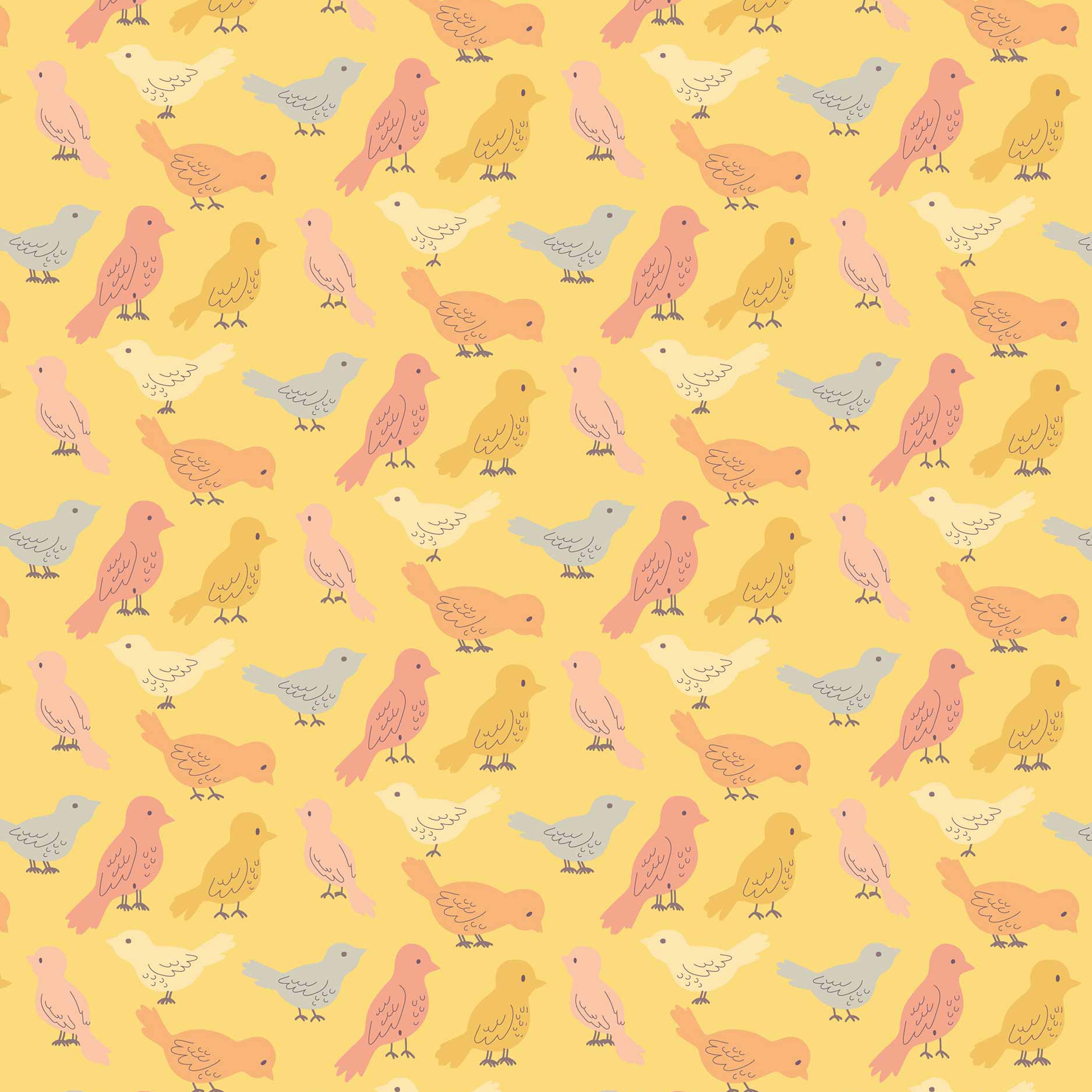 Birds Birds Birds
