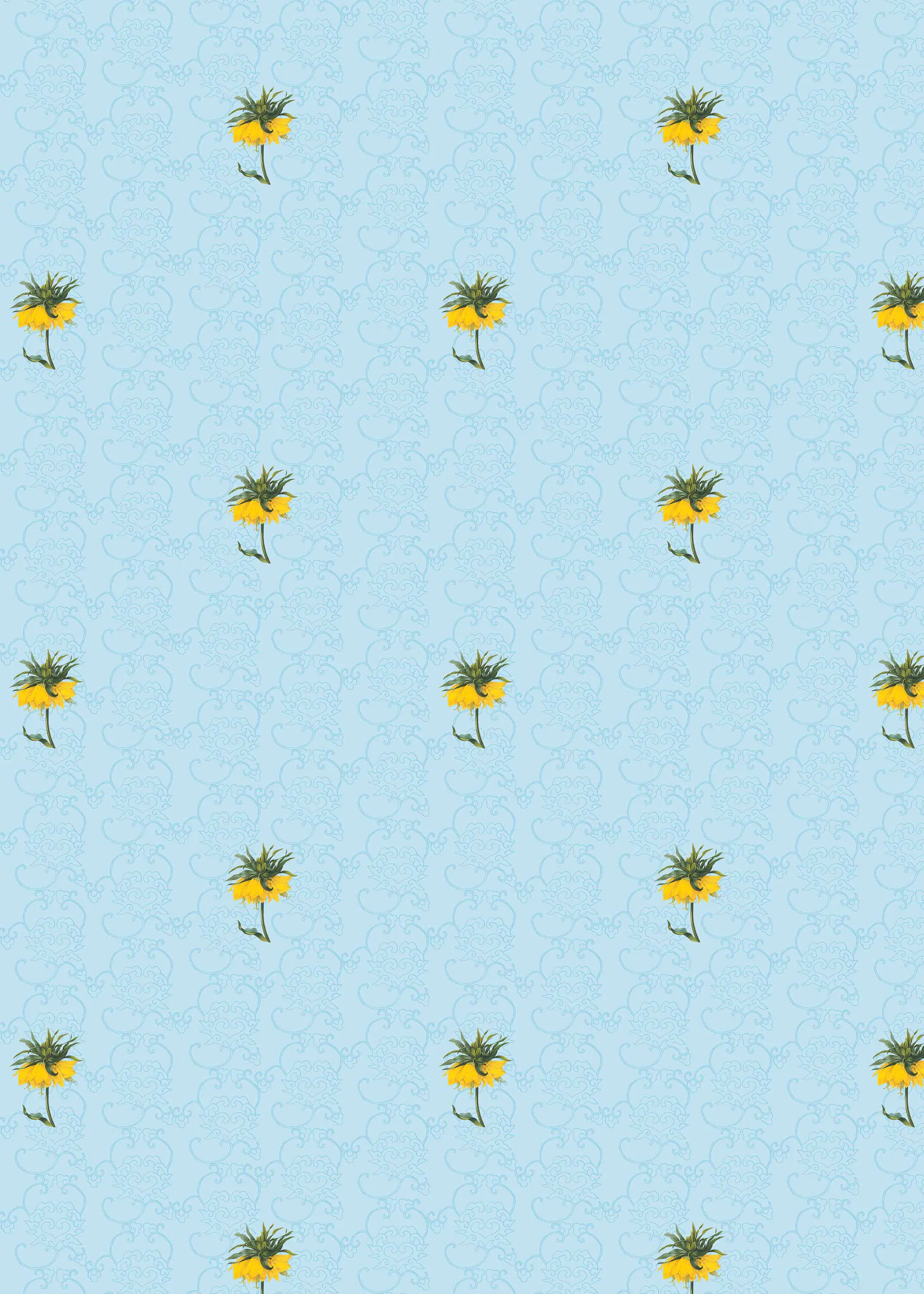 GMM - Blooming China