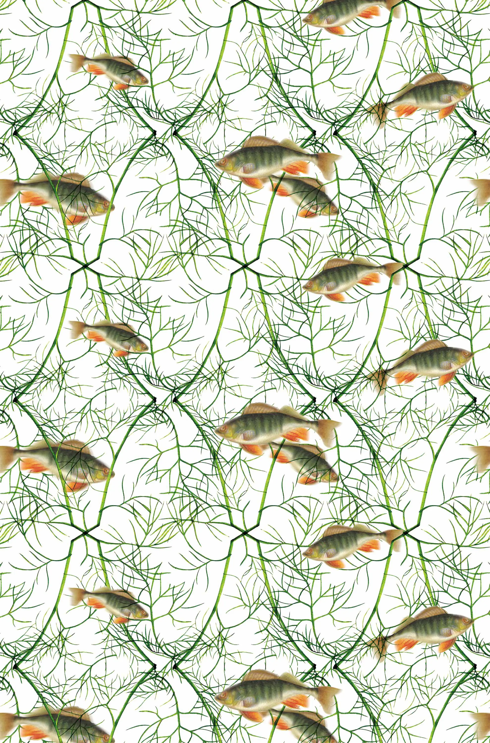 GMM - Fish With Dill
