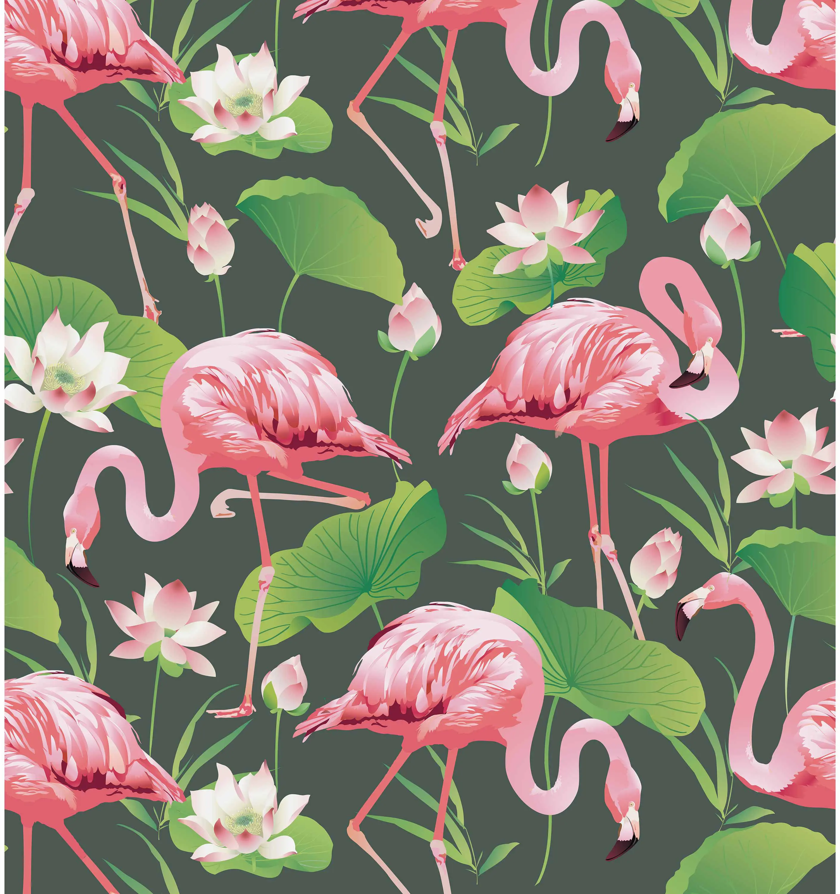 GMM - Flamingo Pool