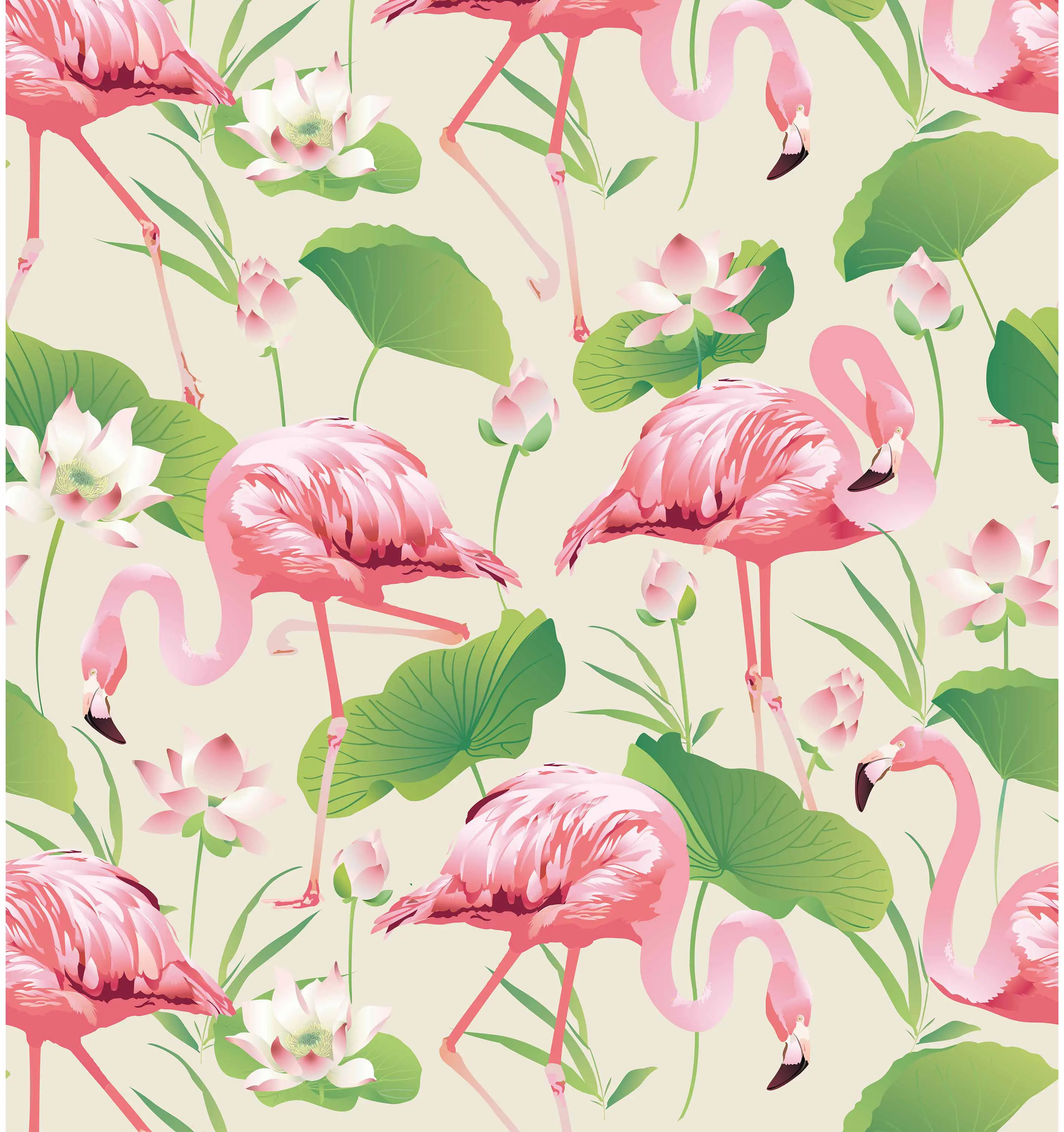 GMM - Flamingo Pool
