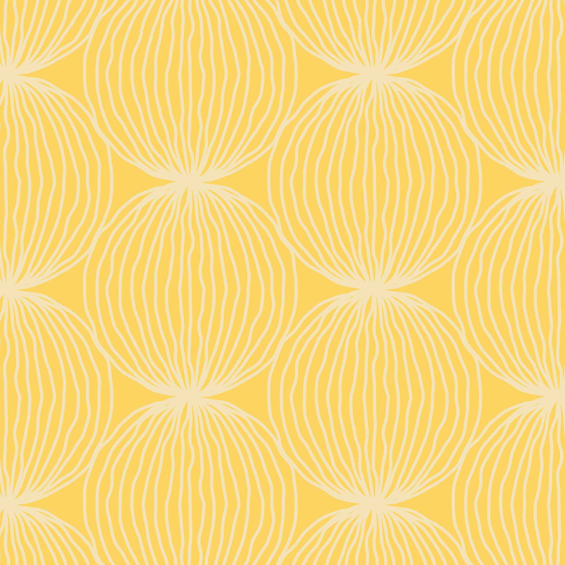 Grafic Pompoms