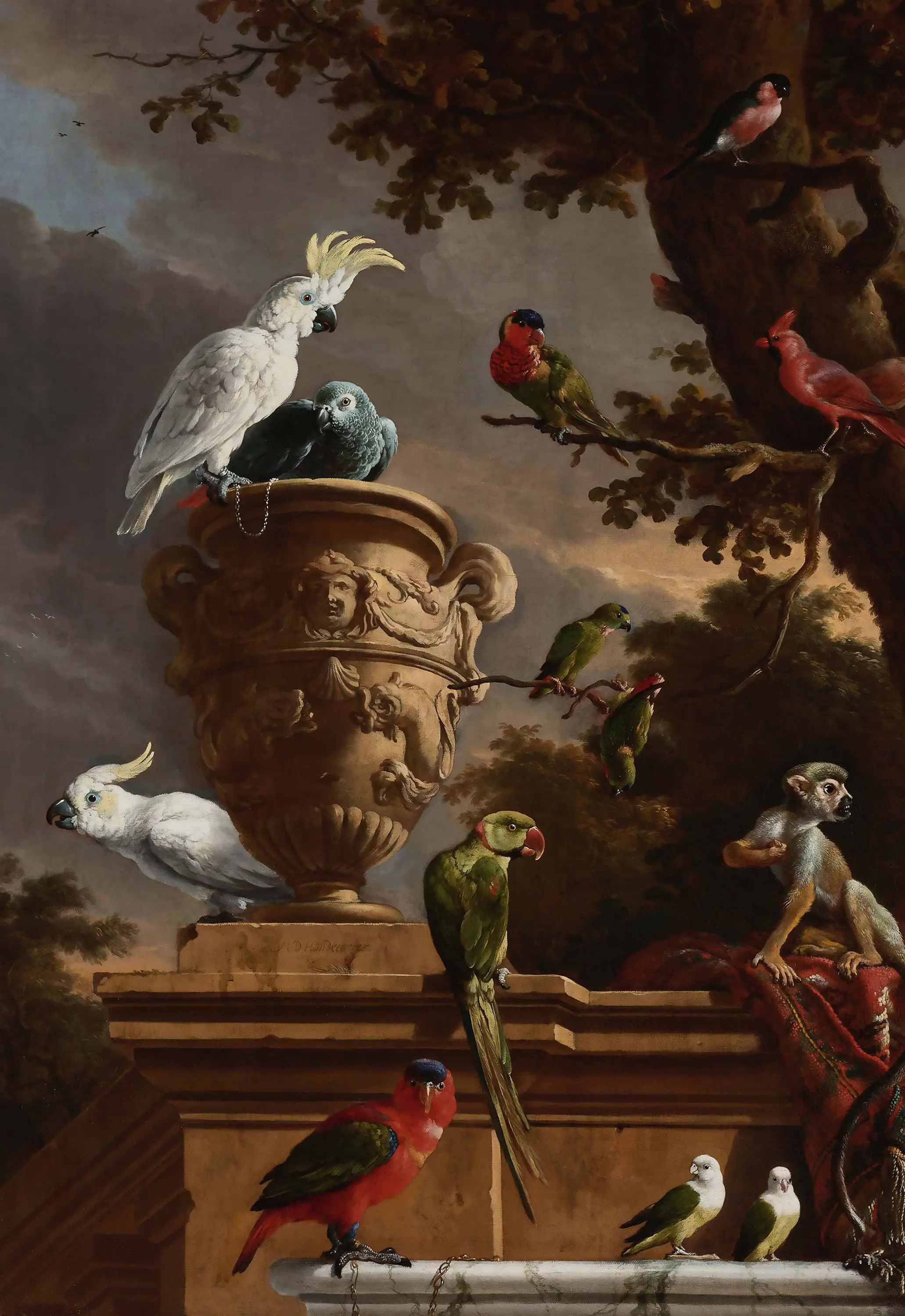 GMM - Hondecoeter