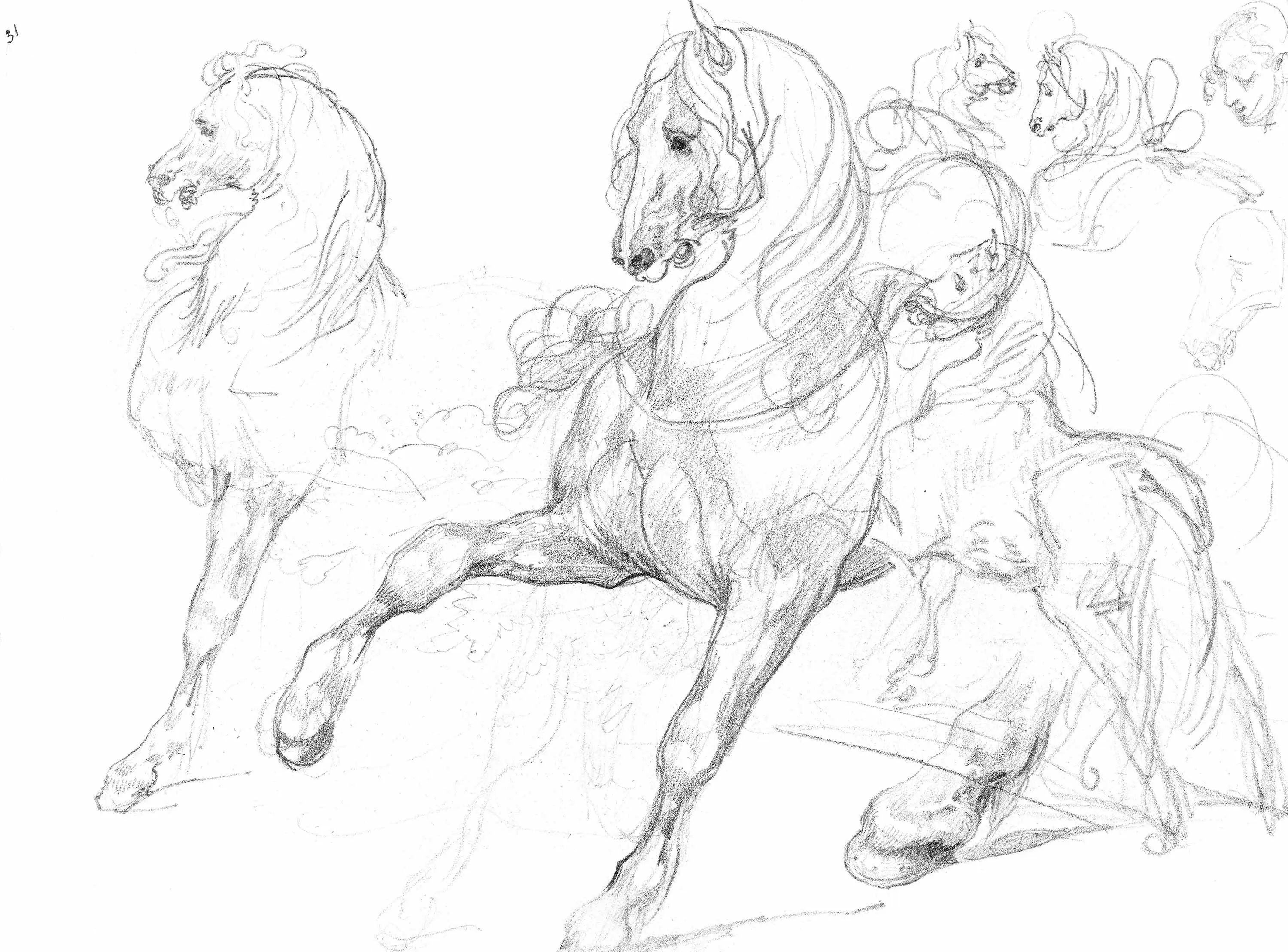 GMM - Horse Studies
