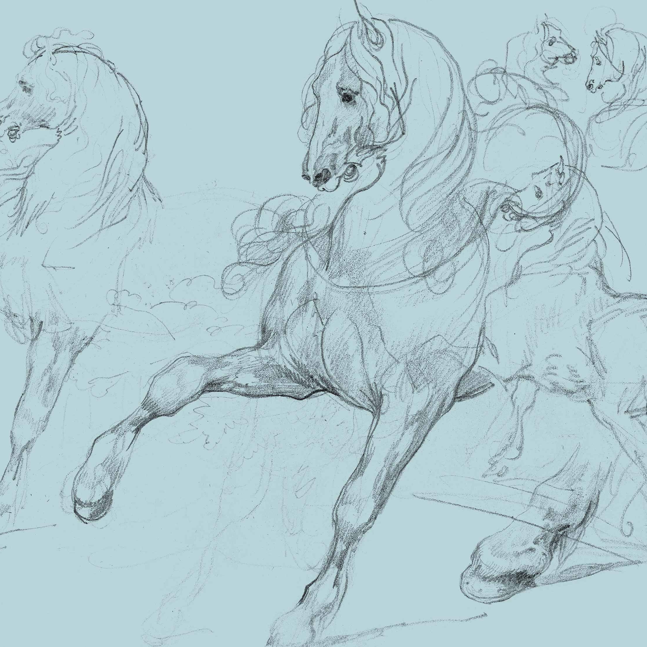 Horse Studies