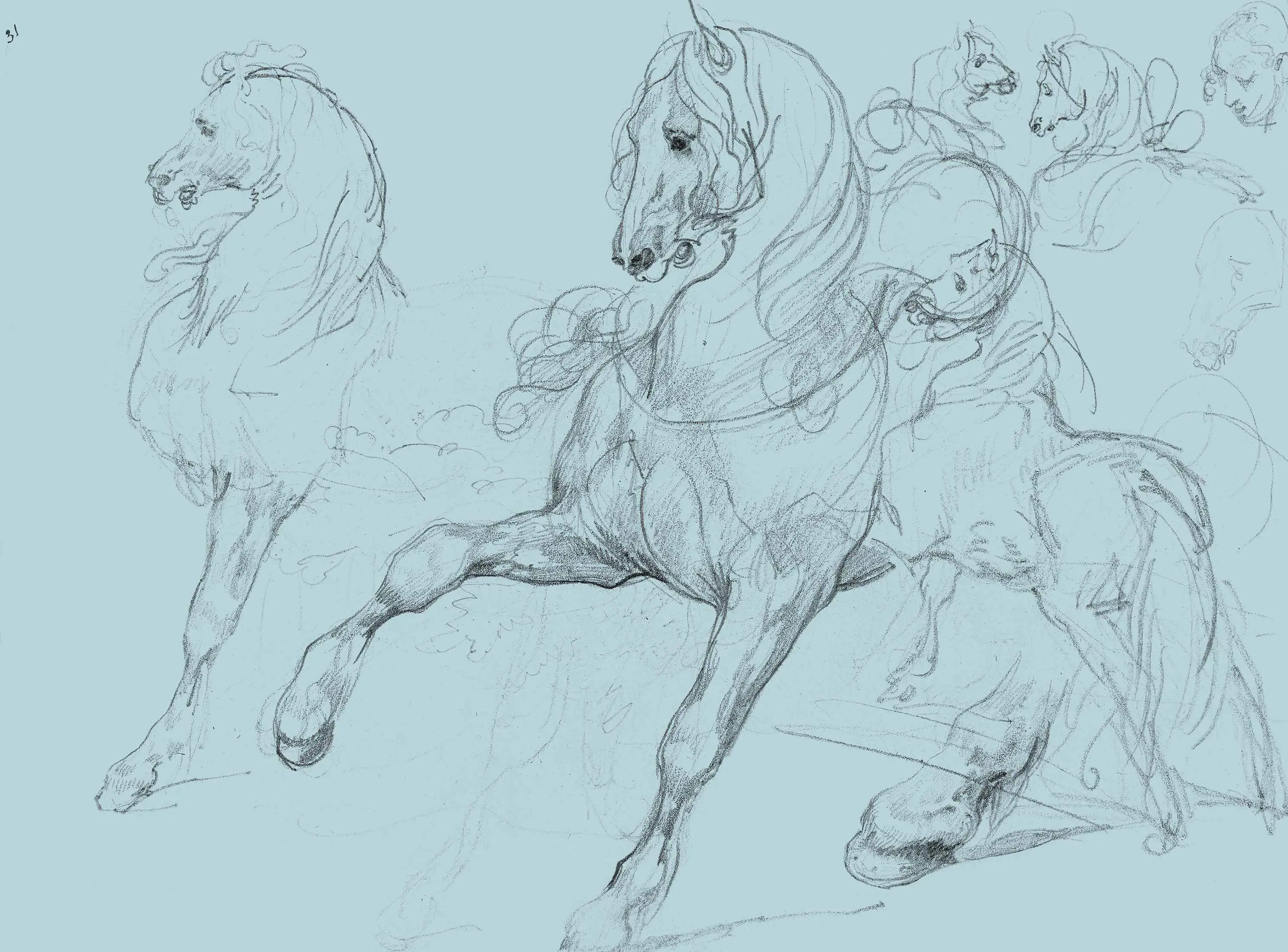 GMM - Horse Studies