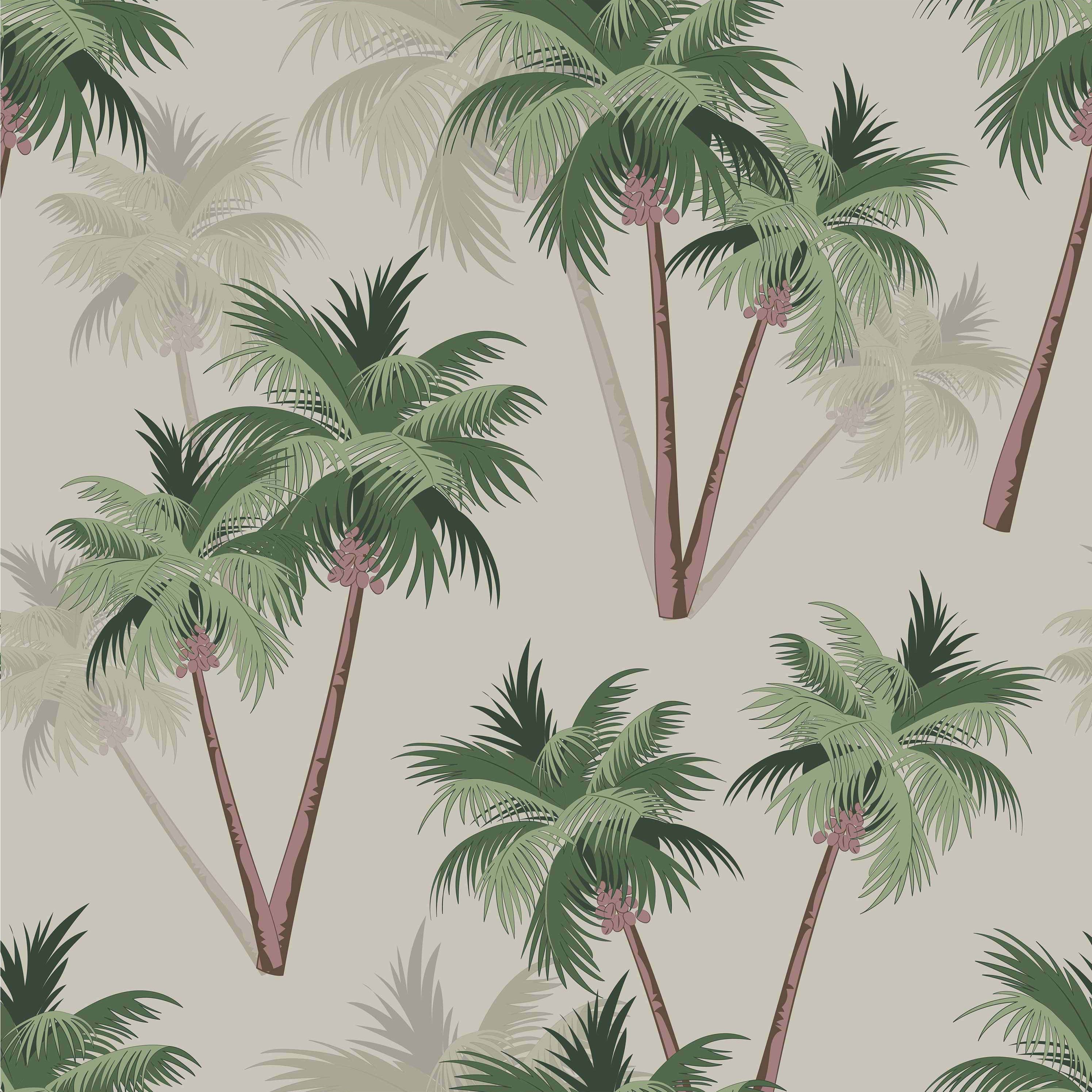 In The Palm Grove