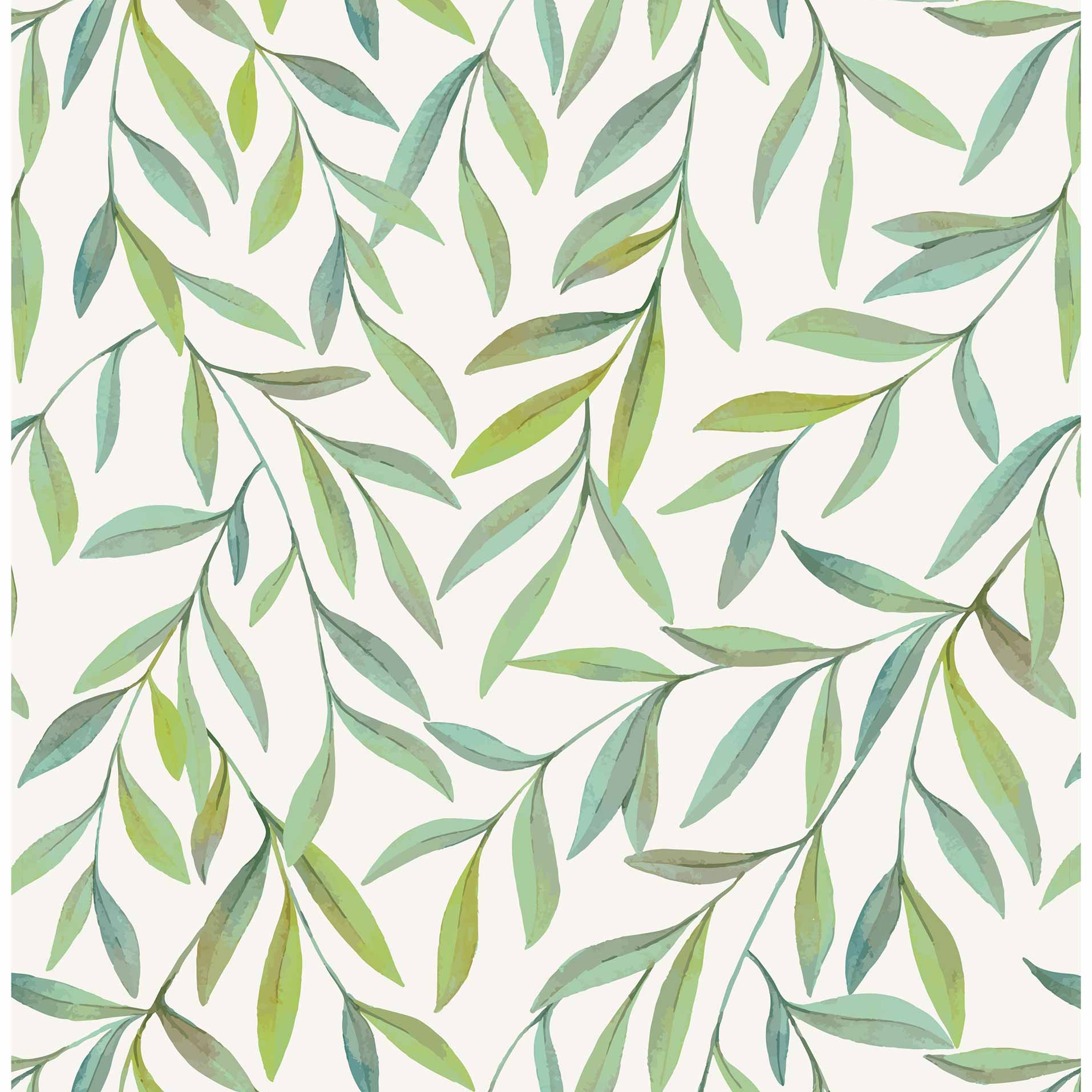 Display product Magic Willow from manufacturer GMM