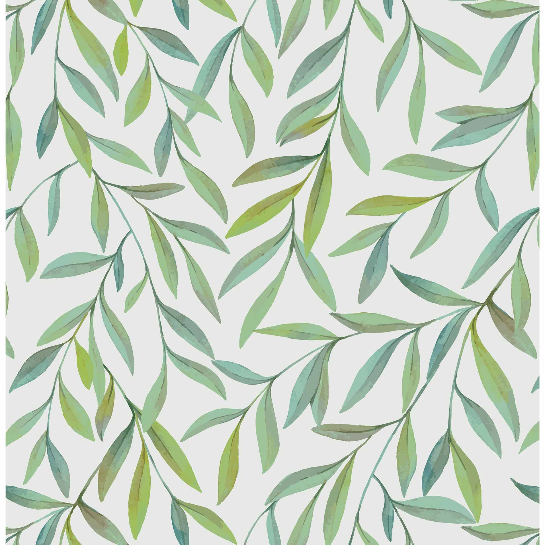 Magic Willow