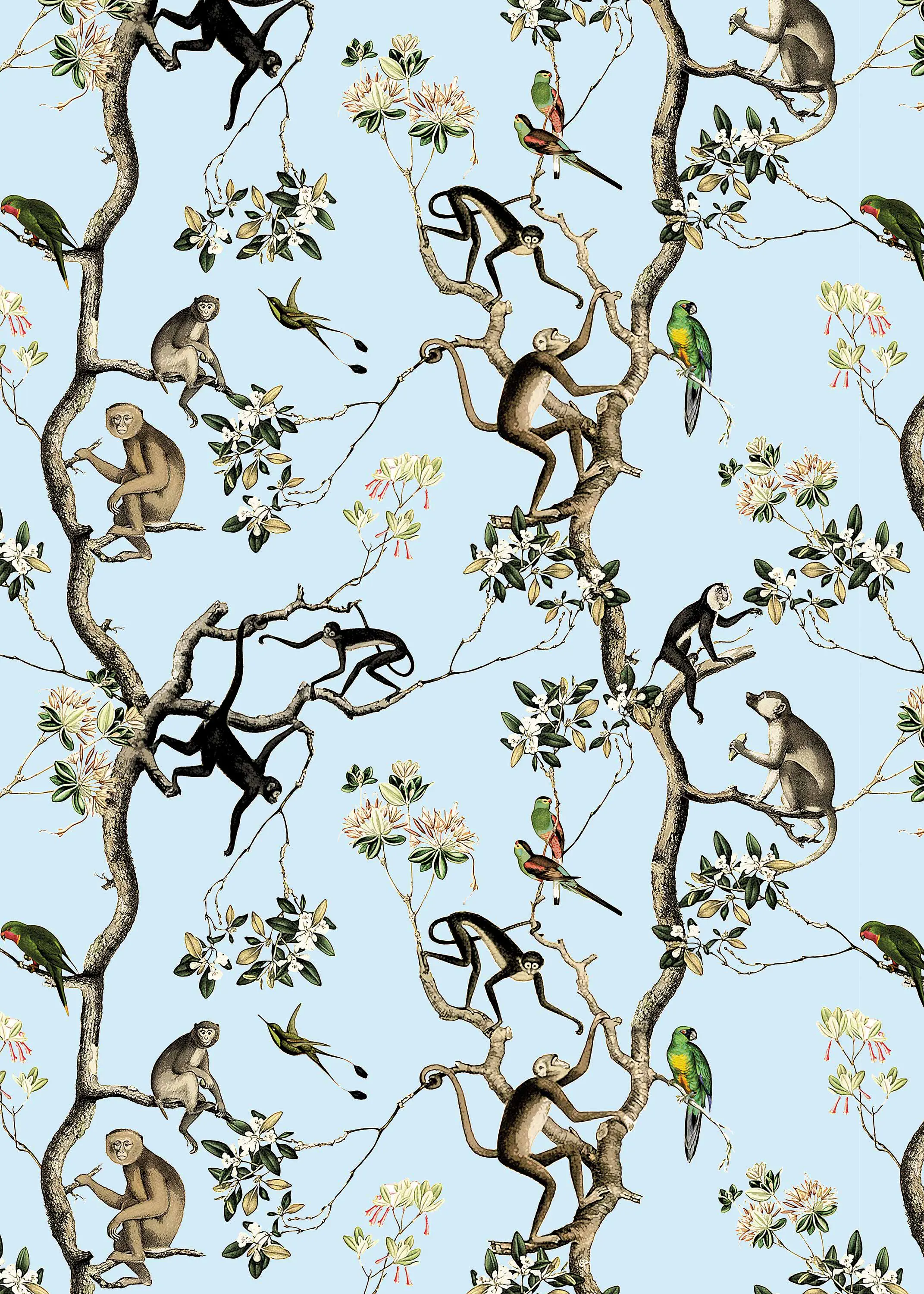 GMM - Monkey