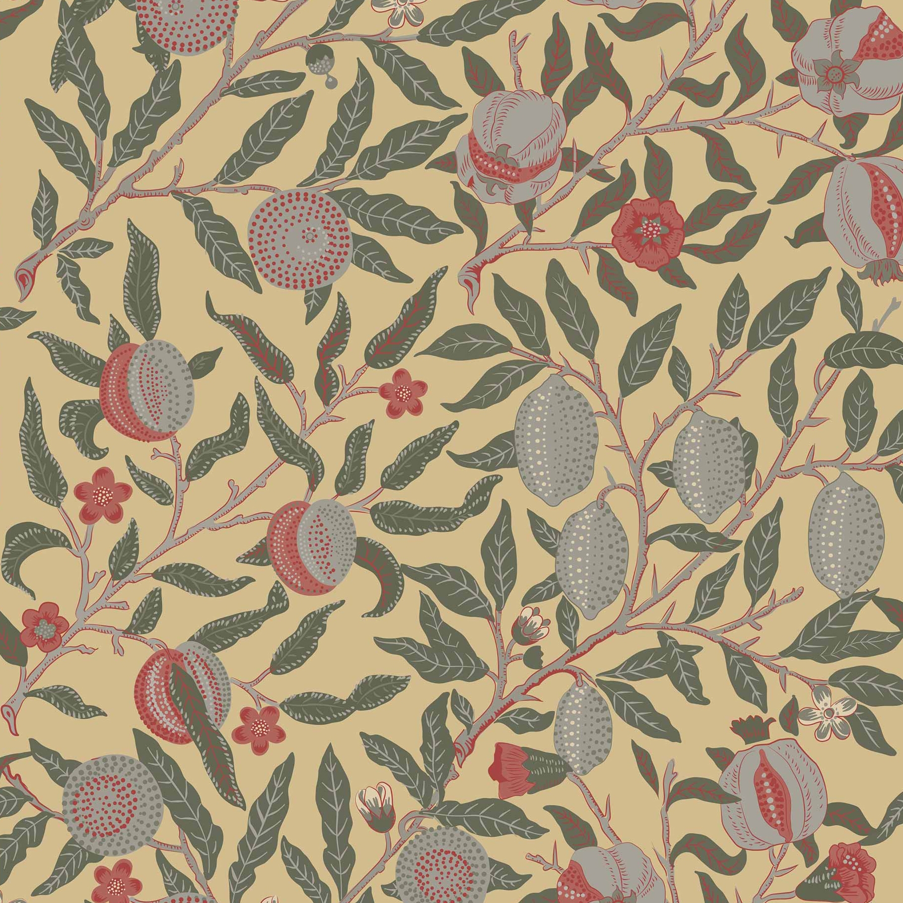 Pomegranate Tree