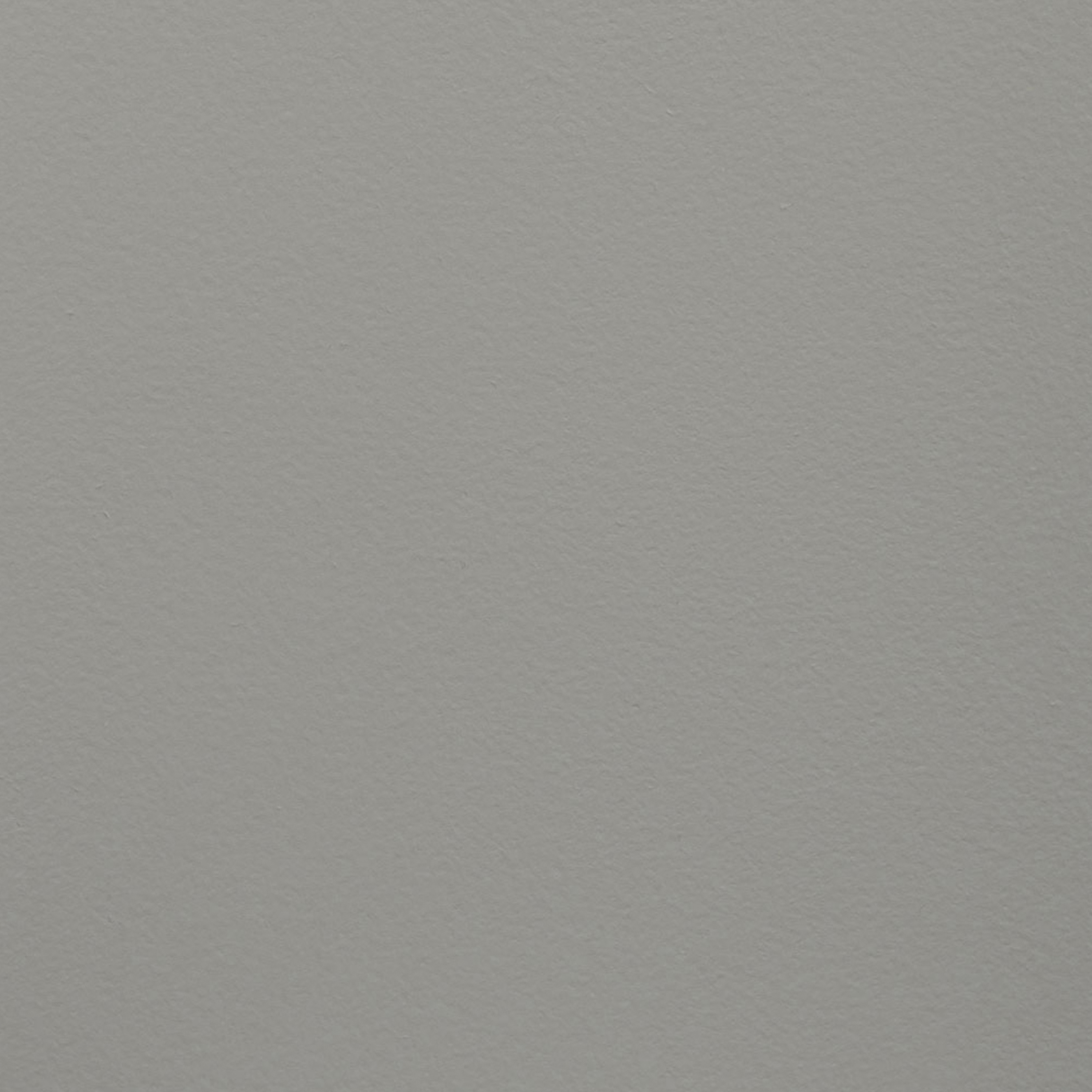Paint Collection | All Cats Are Grey