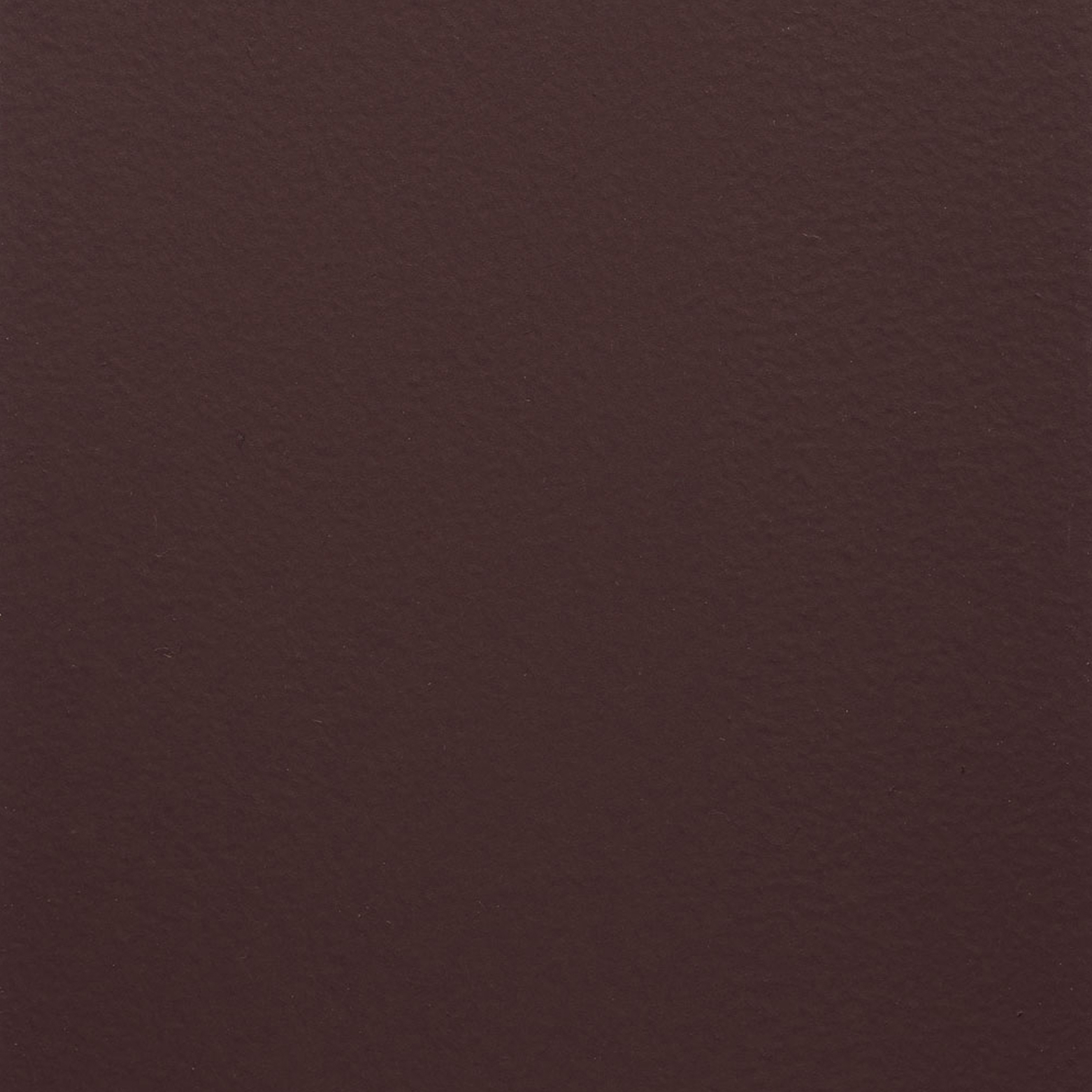 Paint Collection | Black Orchid