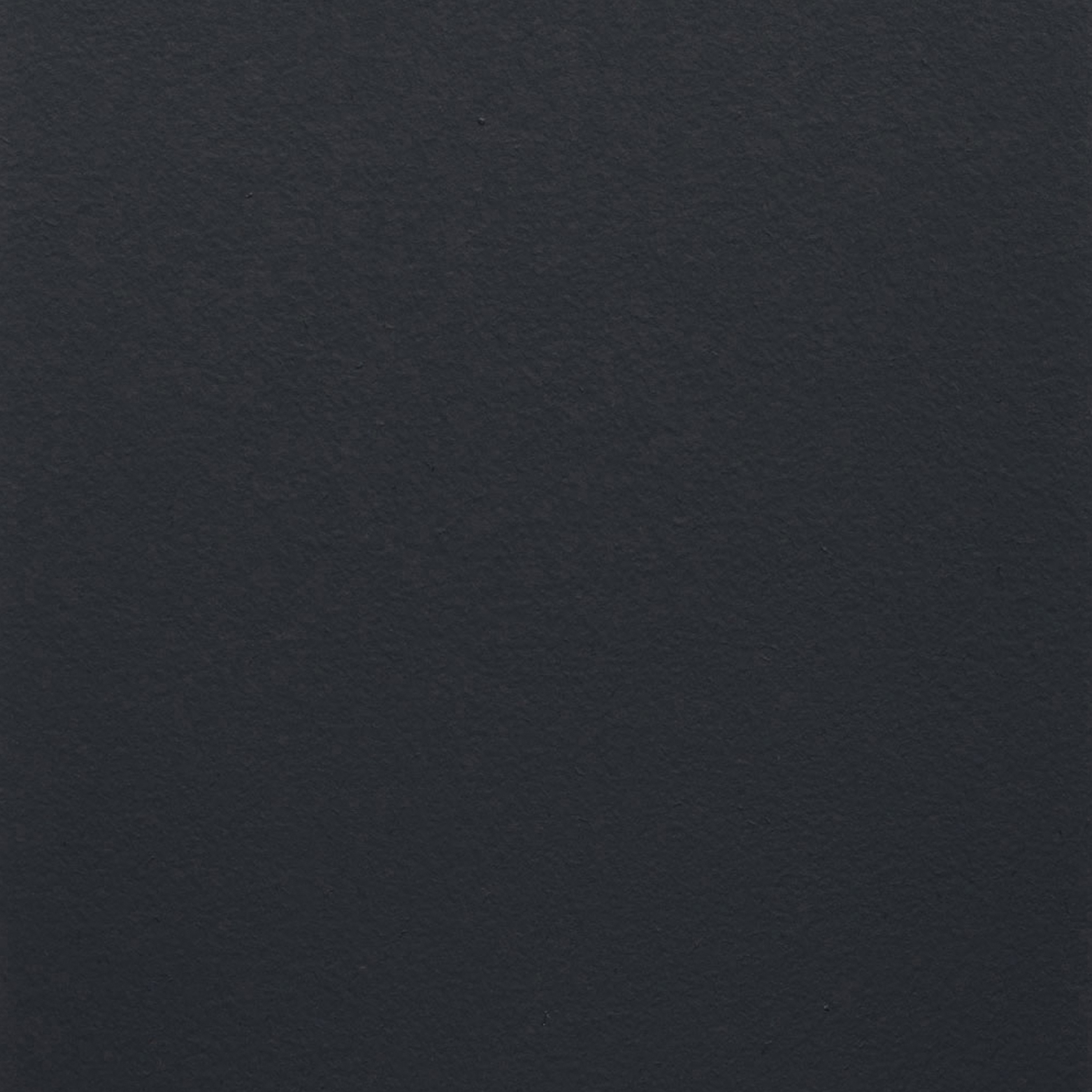 Paint Collection | Black swan
