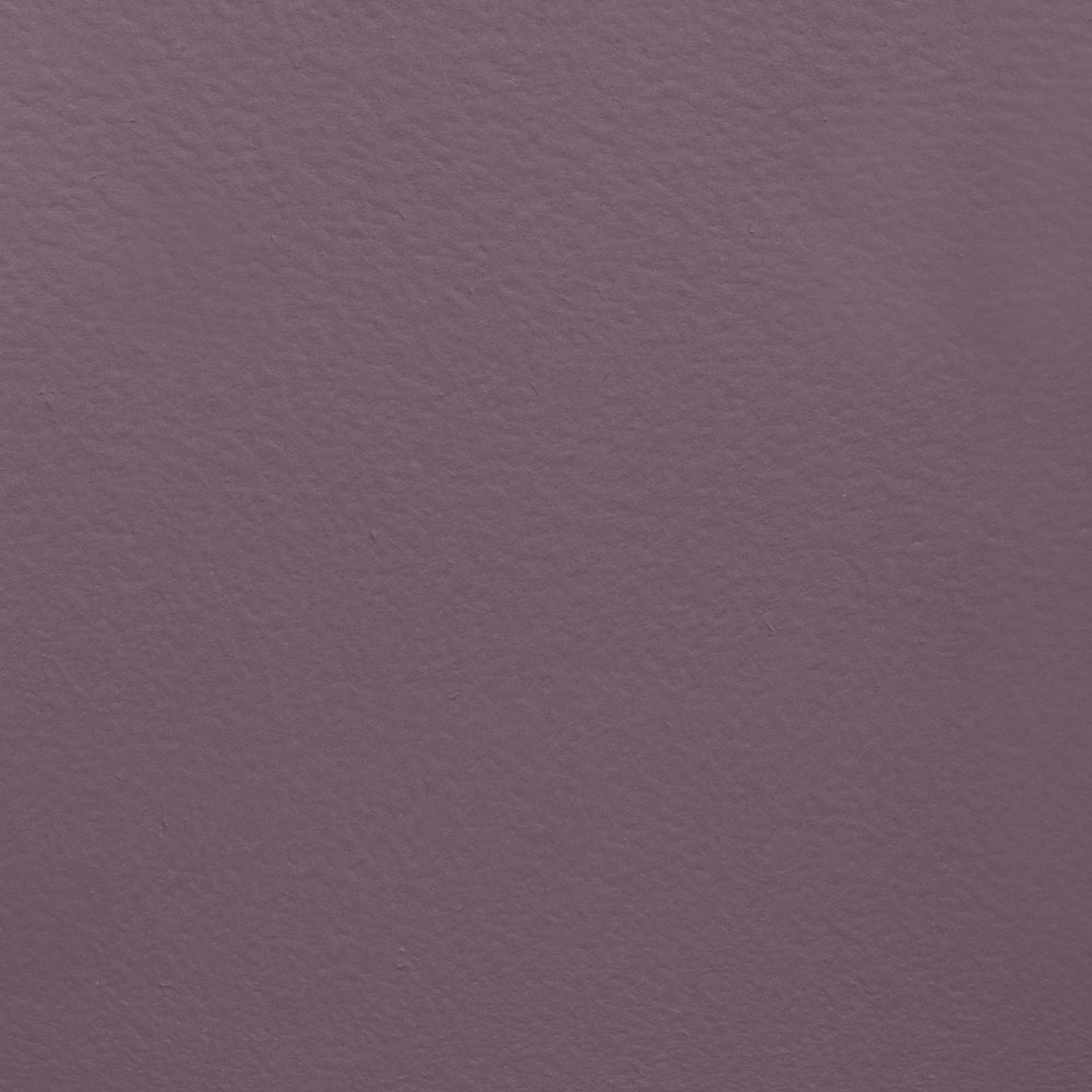 Paint Collection | Bluberry Hill
