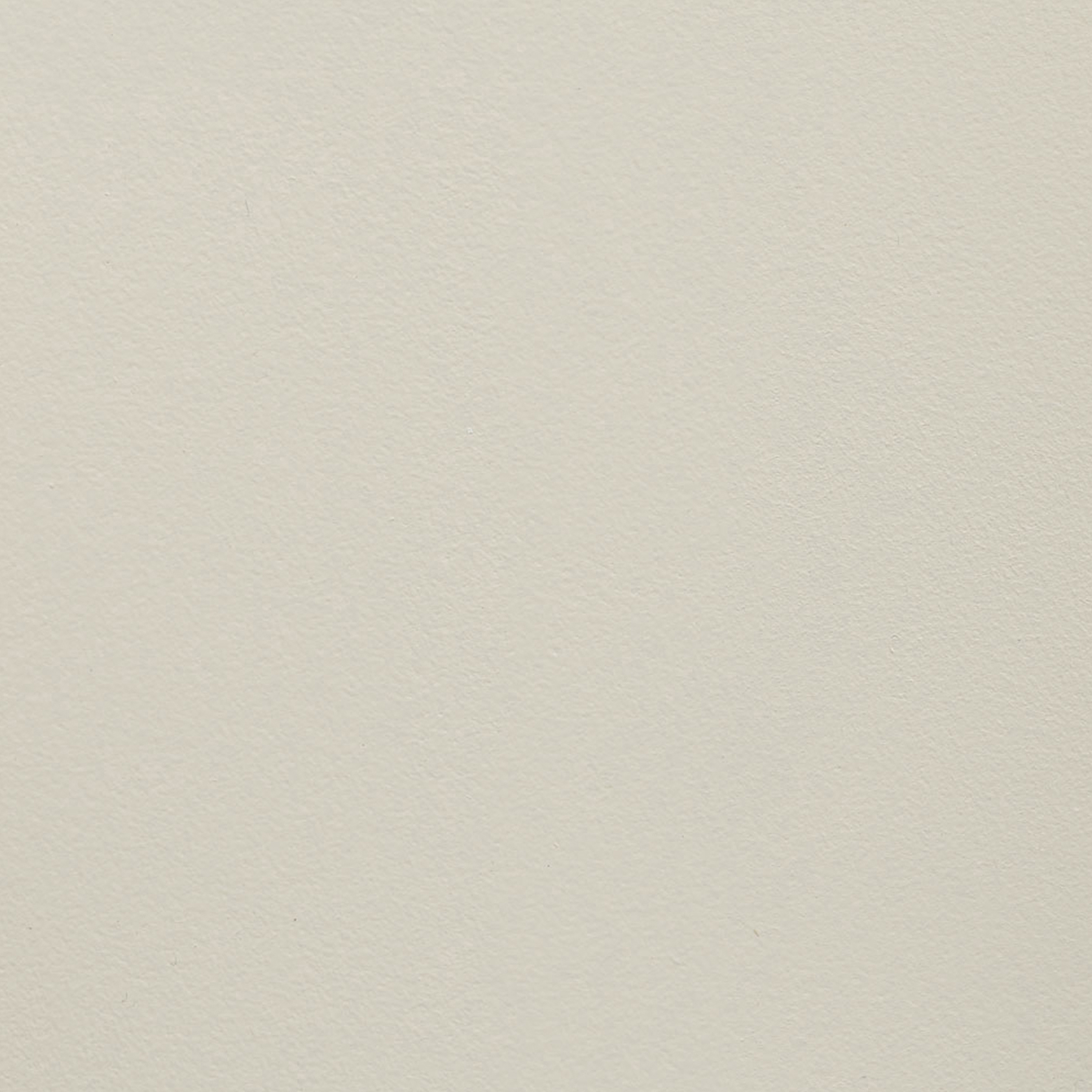 Paint Collection | Cream