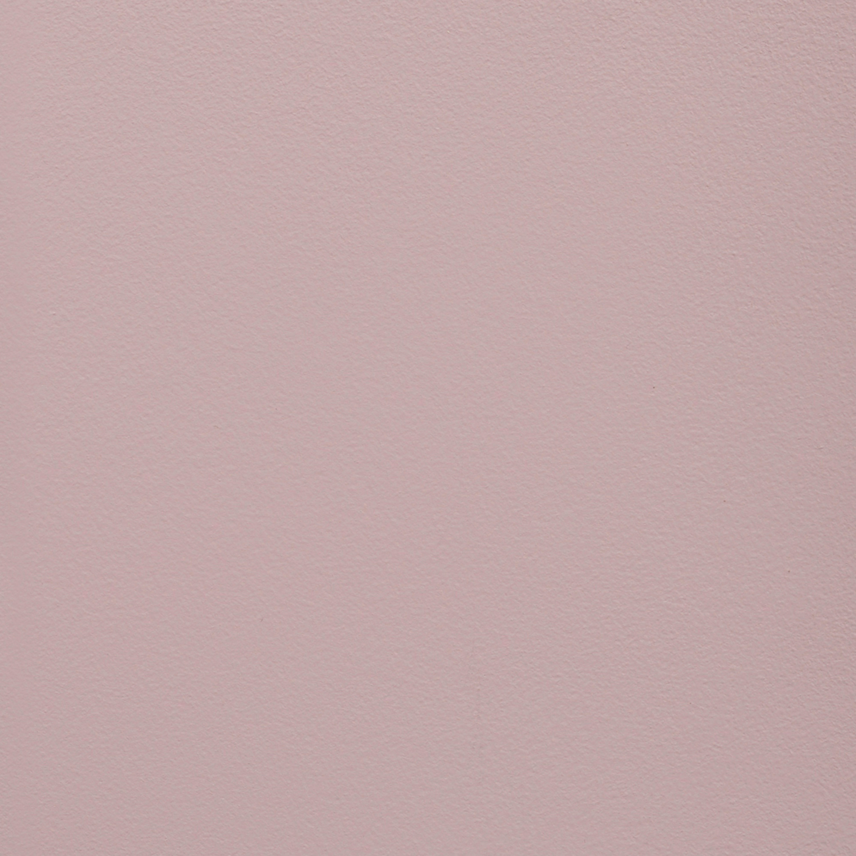 Paint Collection | Desert Rose