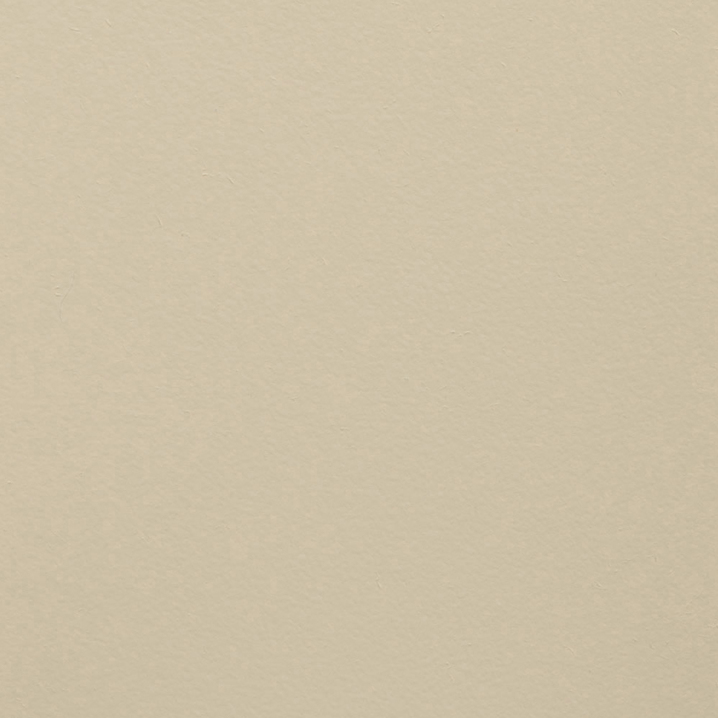 Paint Collection | Don't Eat The Yellow Snow
